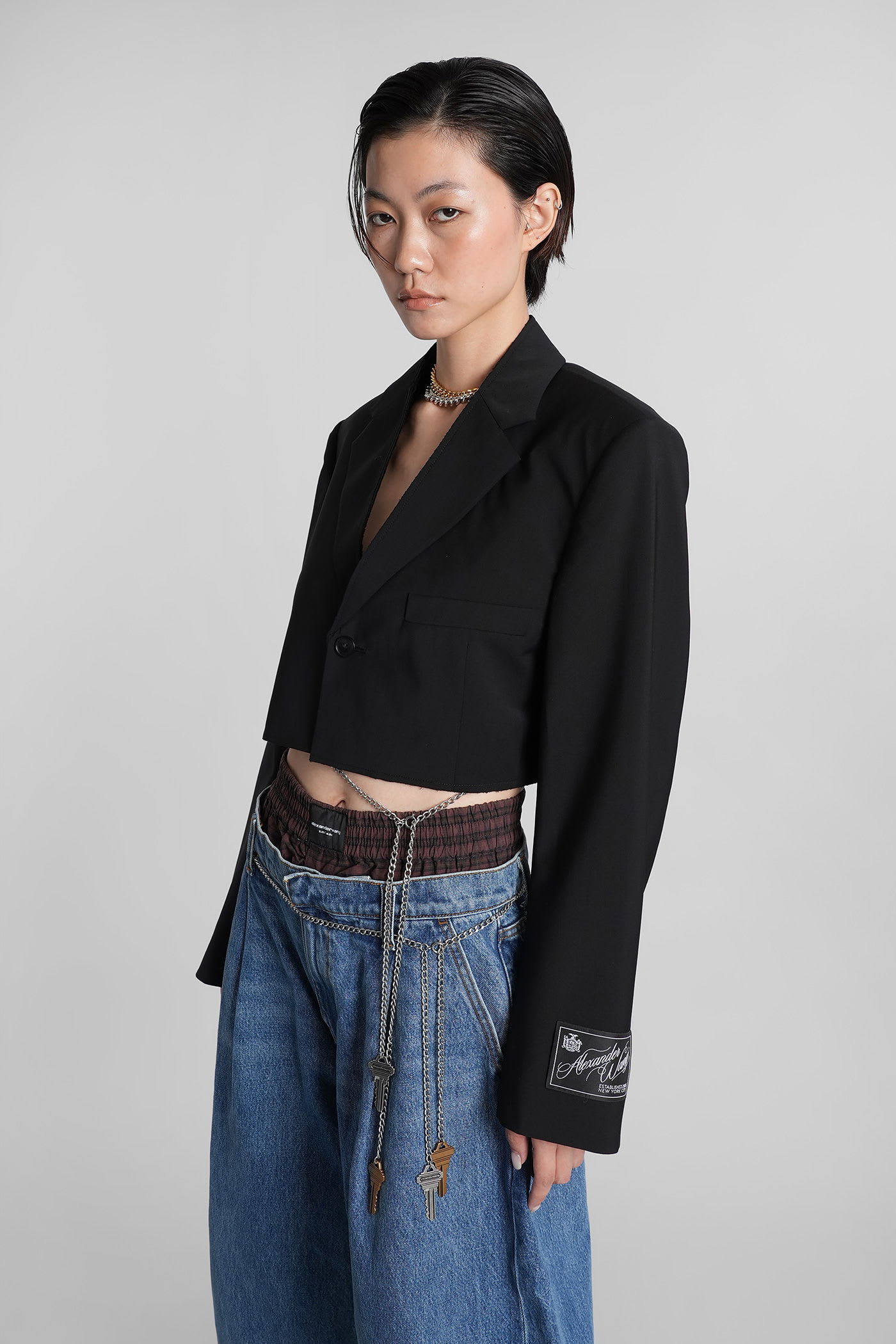 Alexander Wang Cropped Blazer With Chain In Black