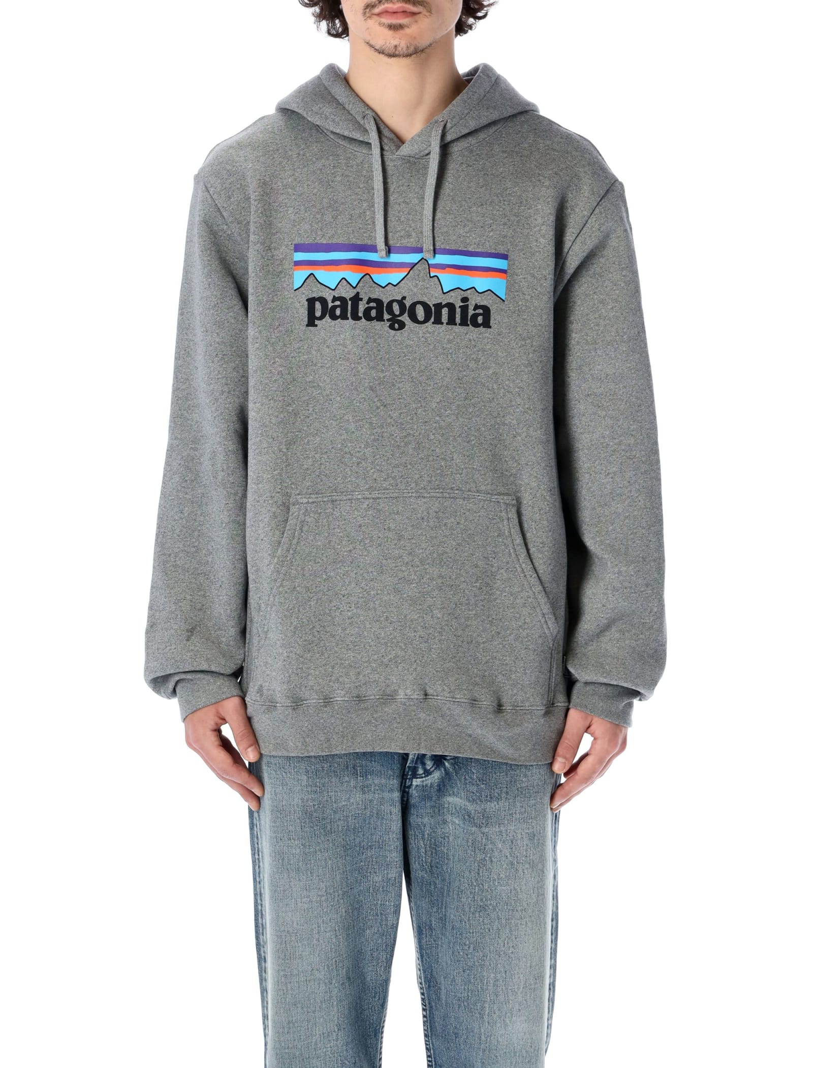 Patagonia Logo Print Regular Hoodie