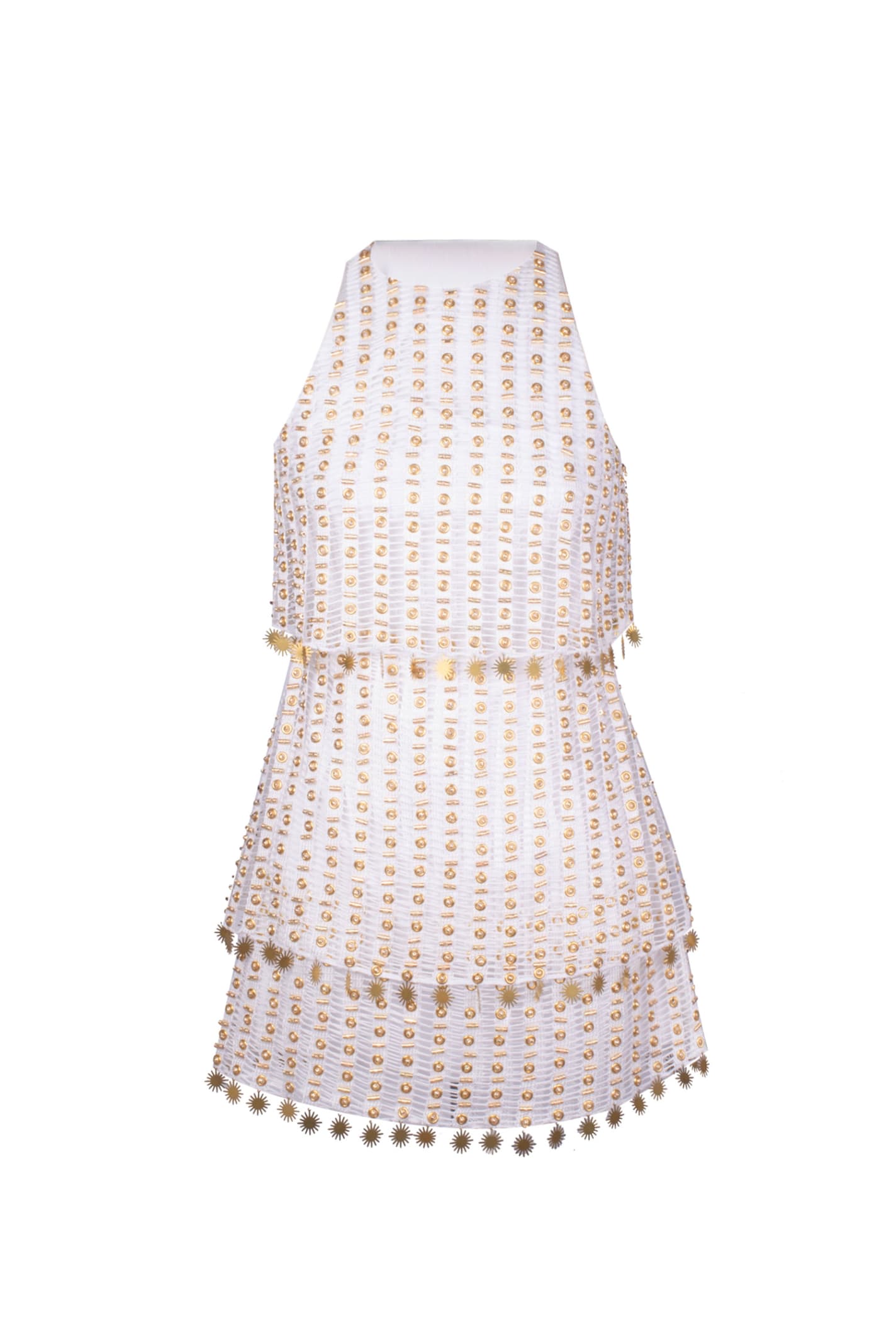 Raisa Vanessa Sleeveless Embroidered Mini Dress