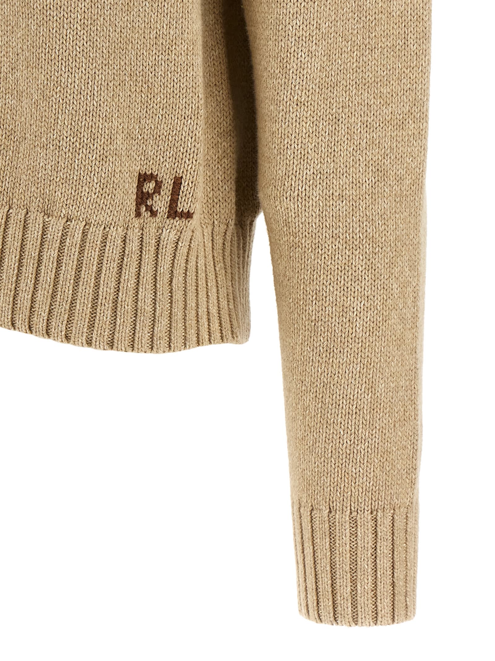 Polo Ralph Lauren Bear Graphic Roll Neck Sweater In Brown
