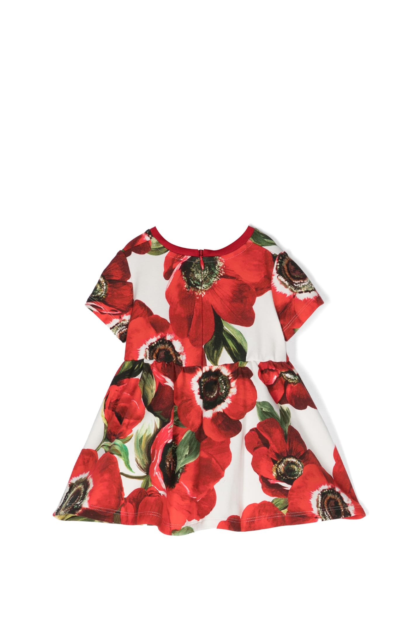Shop Dolce & Gabbana Dress With Print In Multicolor
