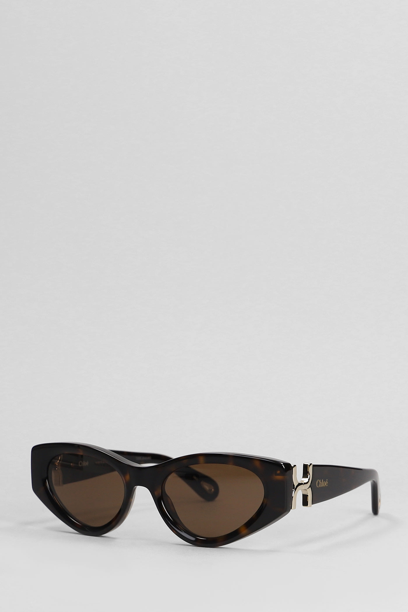 Chloé Sunglasses In Brown Acetate In Brown