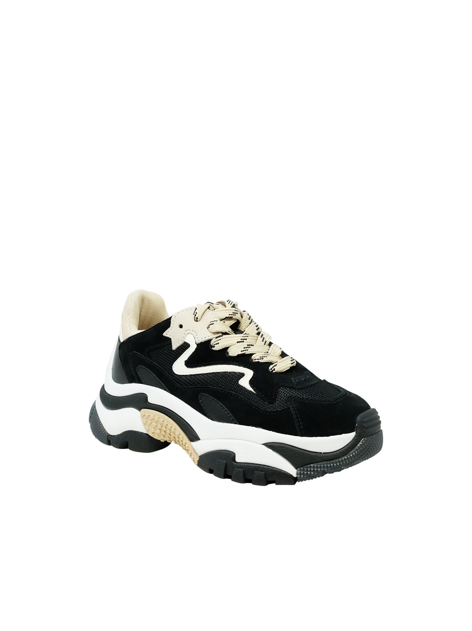 Shop Ash Black Leather Addict02 Sneakers