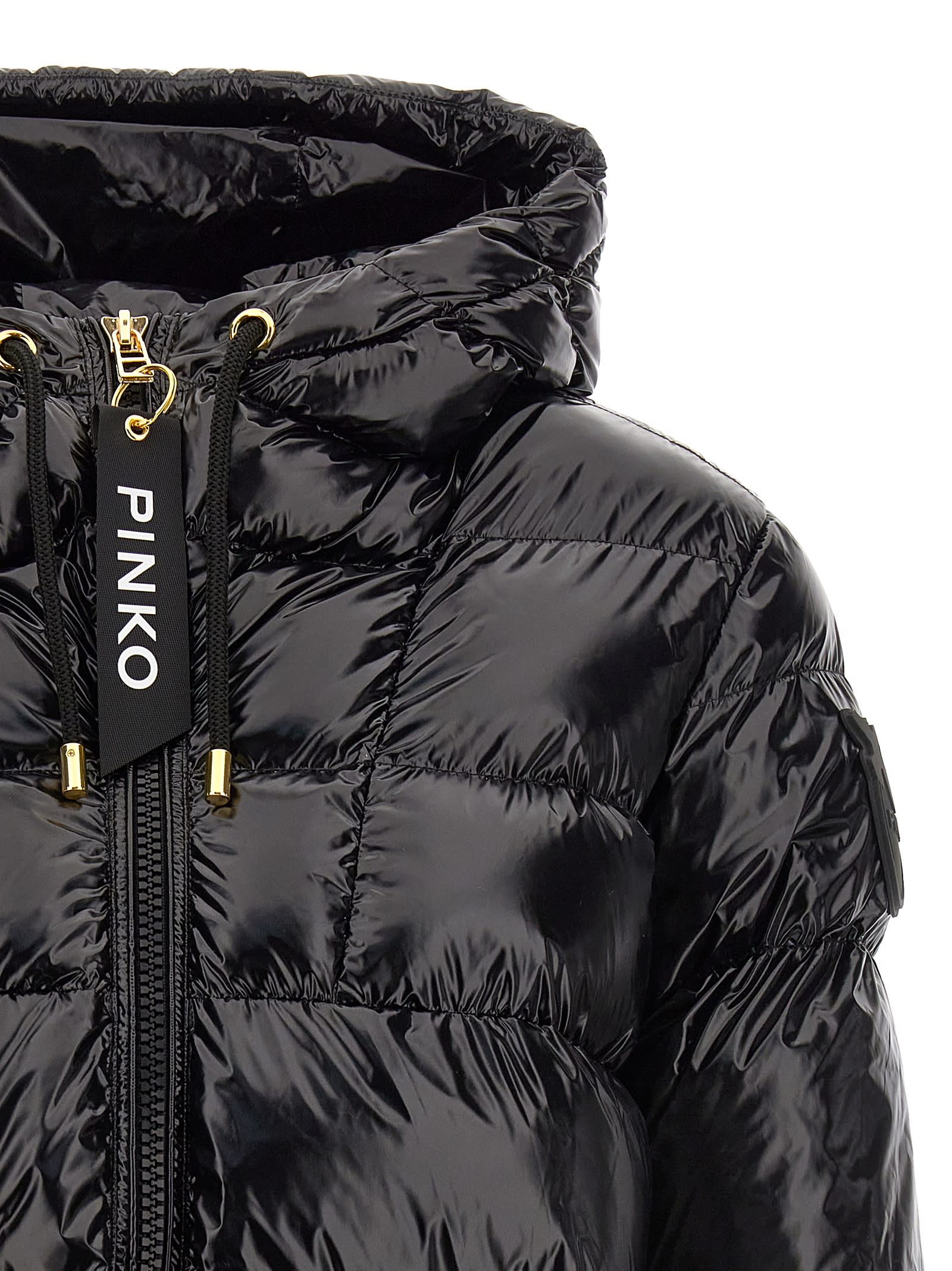 PINKO ELEODORO DOWN JACKET 