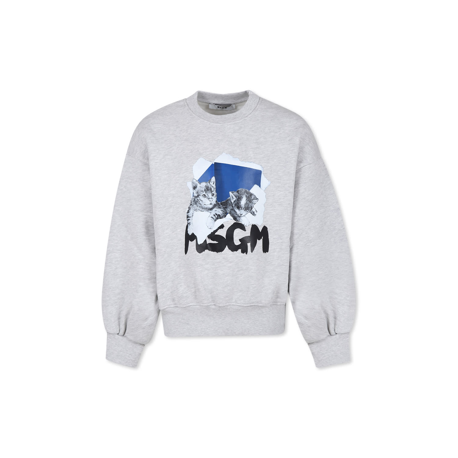 Msgm Grey Sweatshirt For Girl With Logo In Grey
