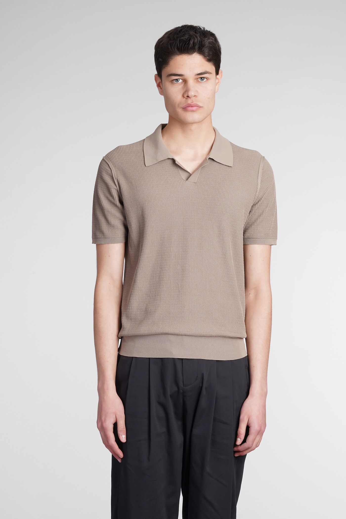 Shop Roberto Collina Polo In Taupe Cotton In Elephant