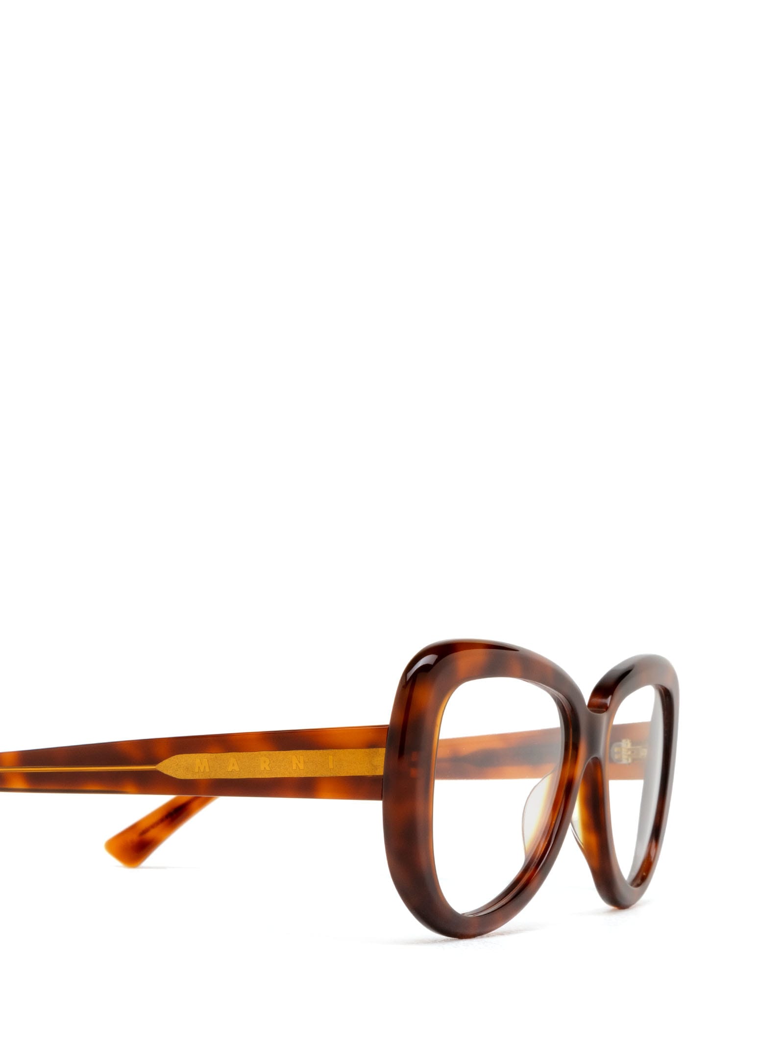 Shop Marni Eyewear Elephant Island Opt Blonde Havana Glasses