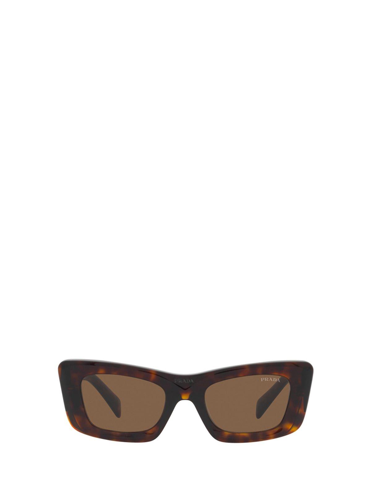 Cat-eye Frame Sunglasses Sunglasses