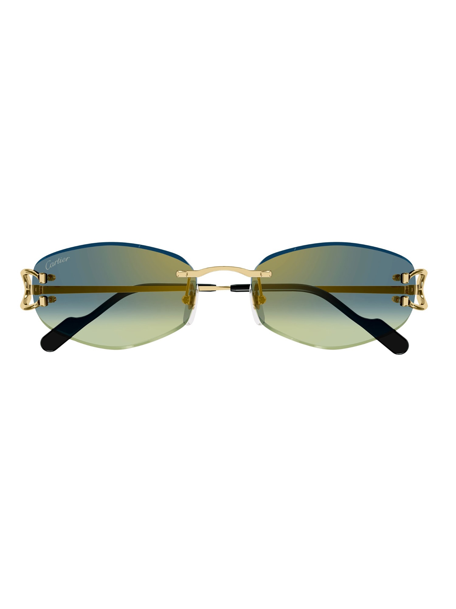 Ct0467s Sunglasses