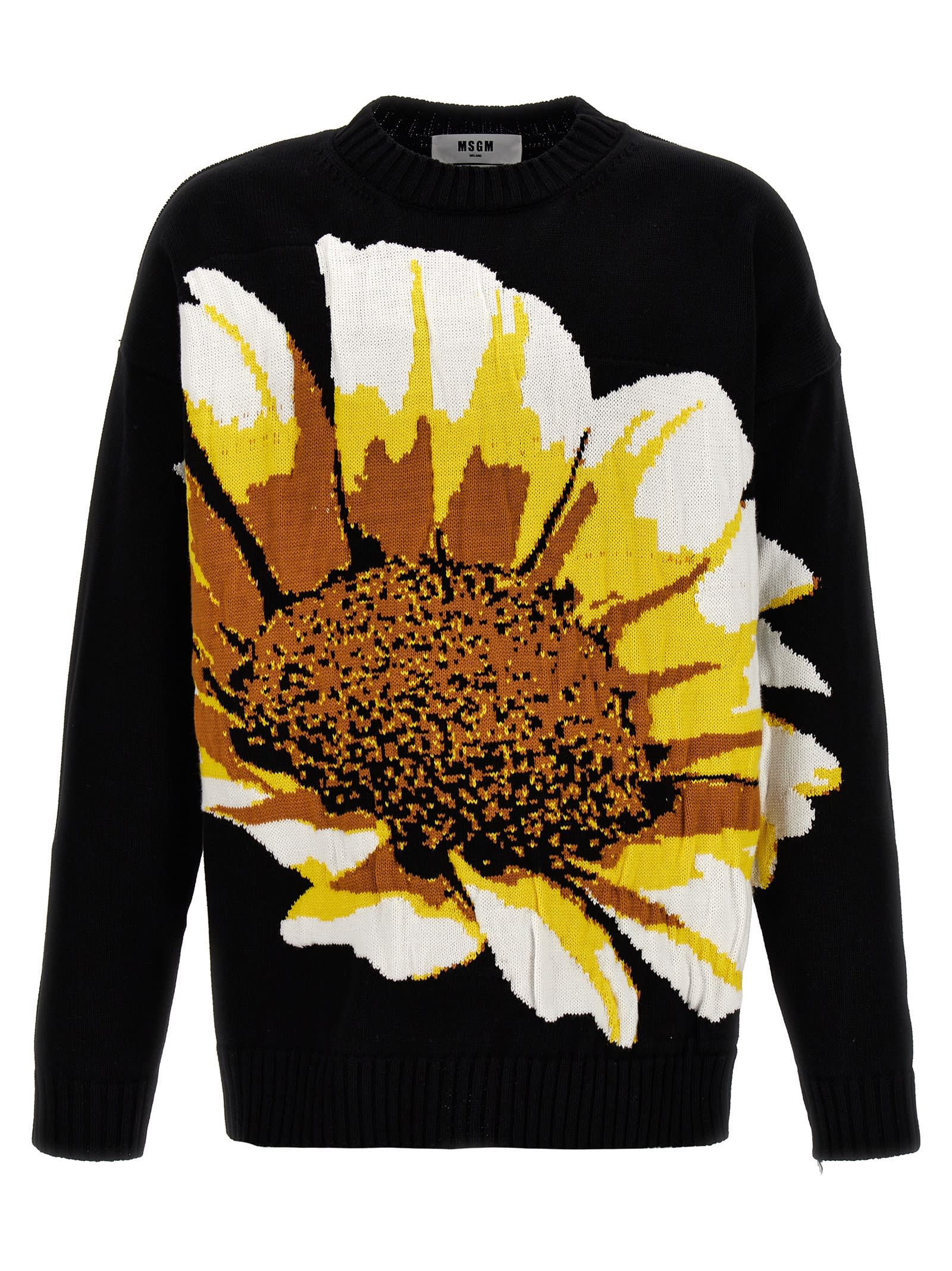 Shop Msgm Margherita Sweater In Black