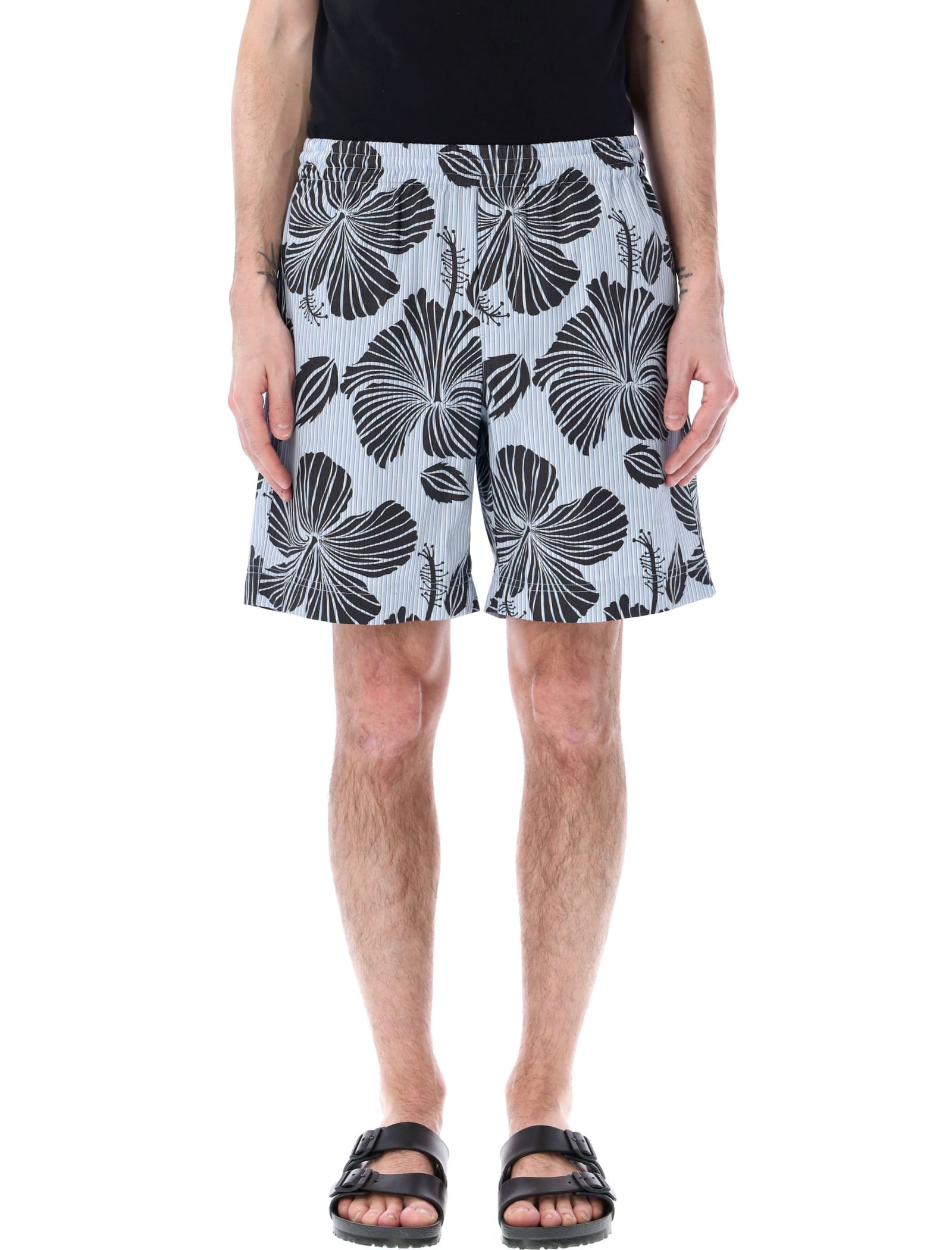 Msgm Cotton Poplin Bermuda Shorts With Embroidered Stripes In Light Blue Print