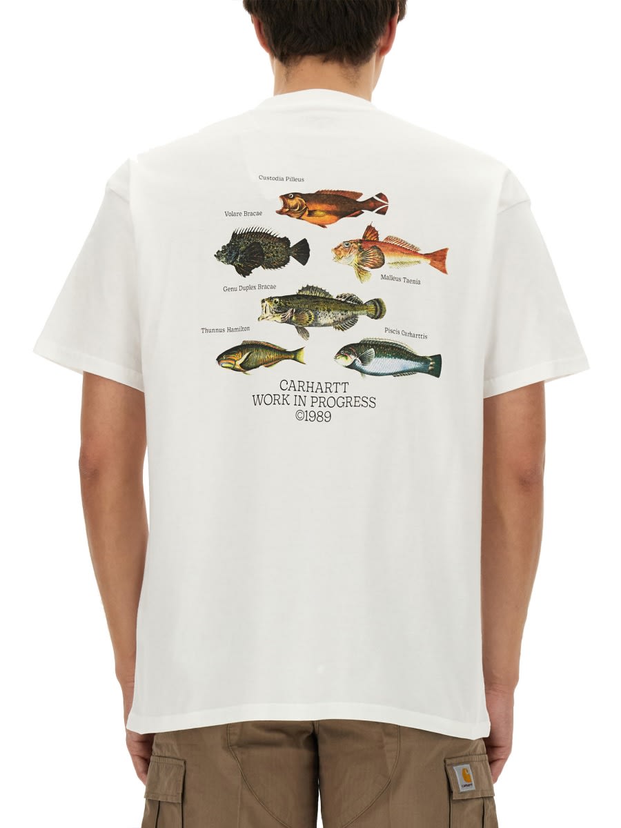 Shop Carhartt T-shirt Fish In White