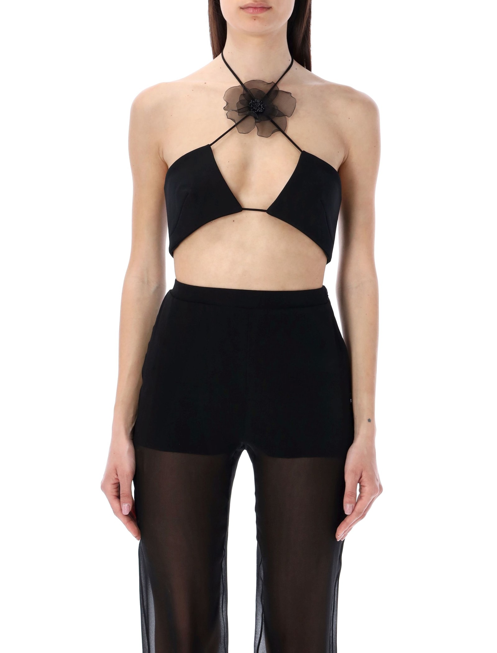 Nensi Dojaka Floral-appliqué Halterneck Cropped Top In Black