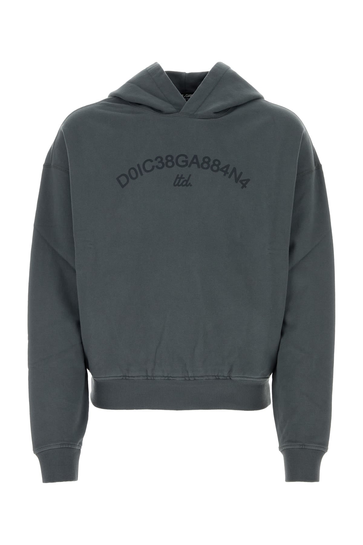 Shop Dolce & Gabbana Felpa Con Cappuccio In Grigio