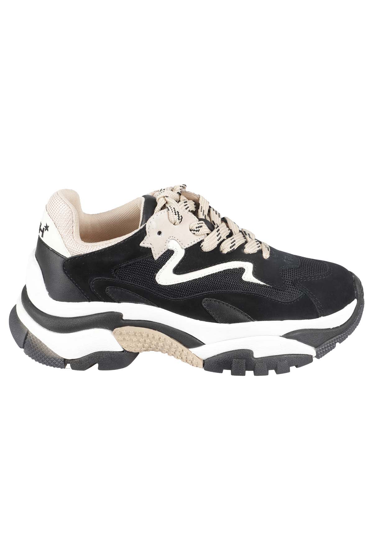 Ash Sneakers In Black Pristine Eggnug