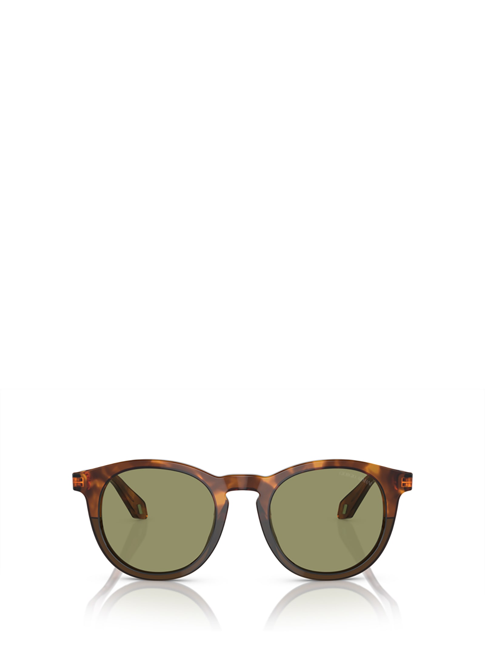 Ar8192 Havana Red / Opal Olive Green Sunglasses