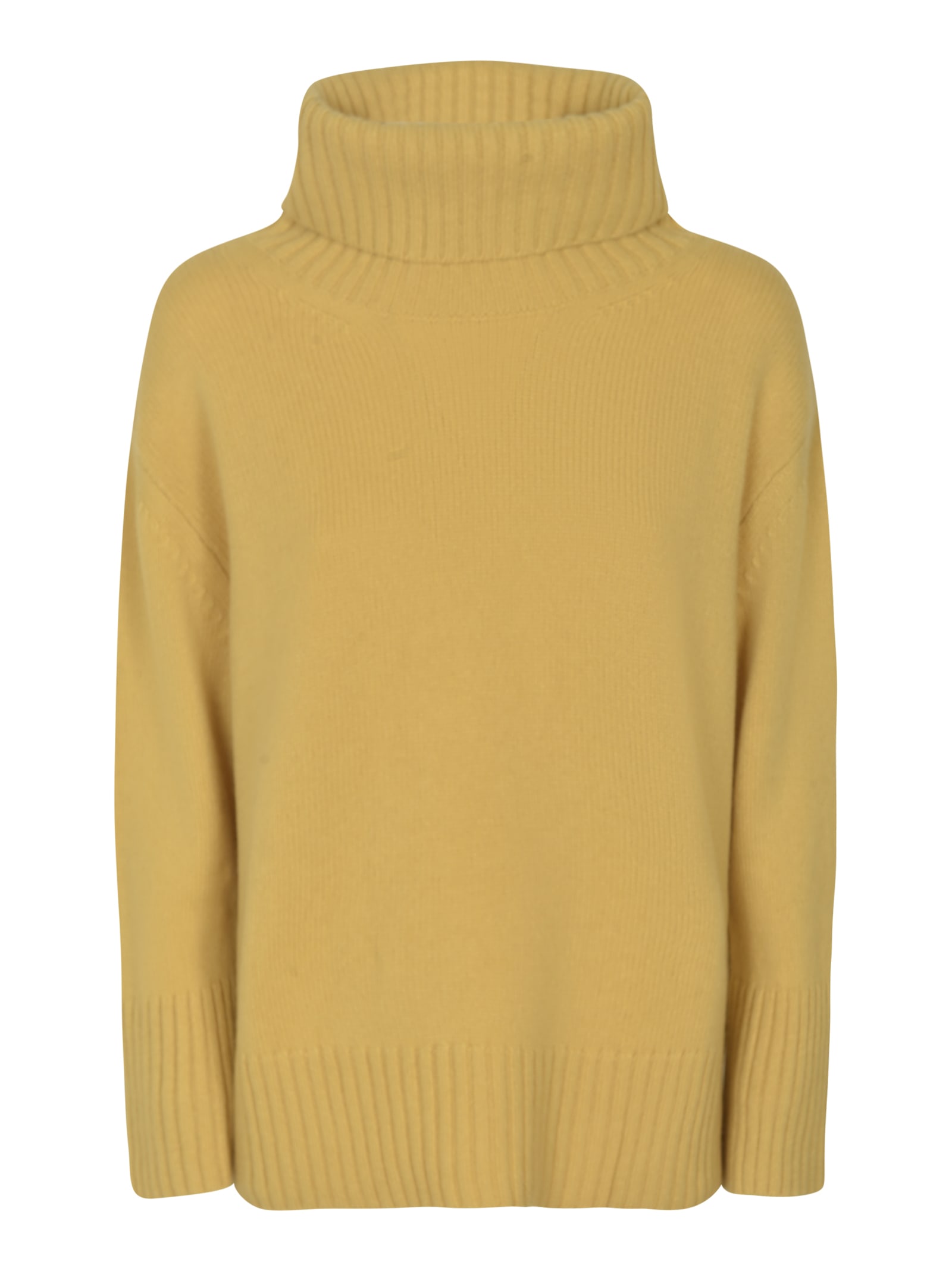 Roll Neck Plain Ribbed Pullover