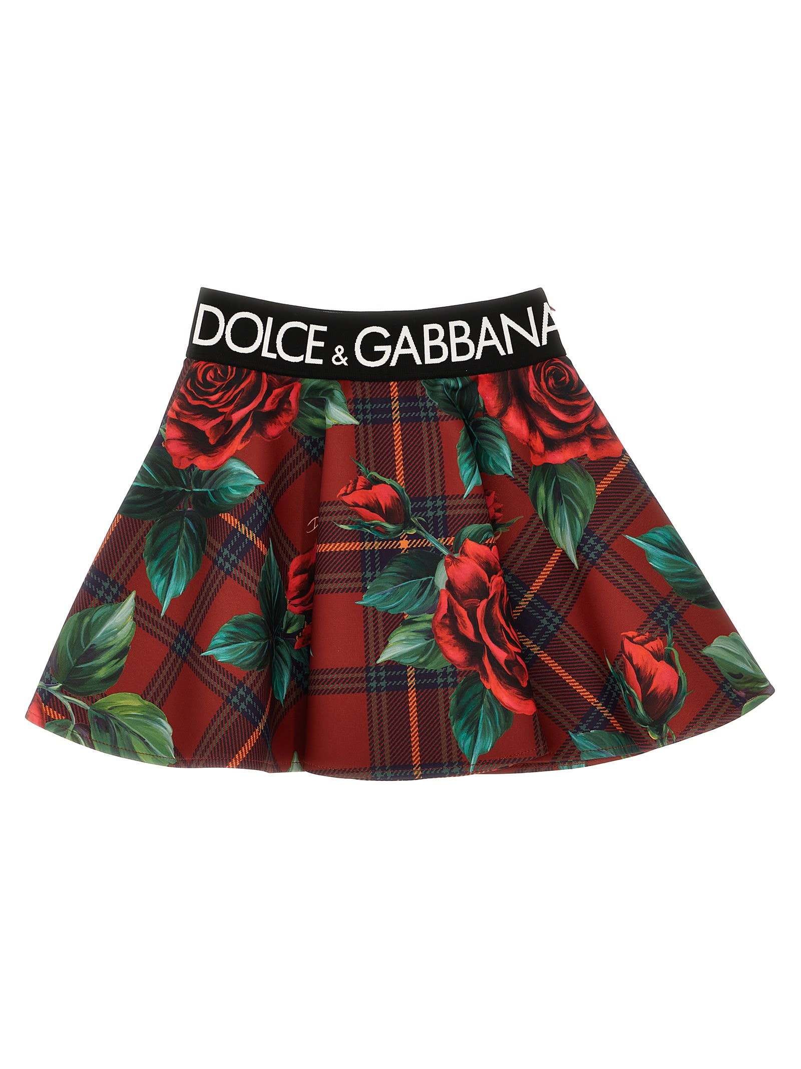 Shop Dolce & Gabbana Back To School Skirt In Qe