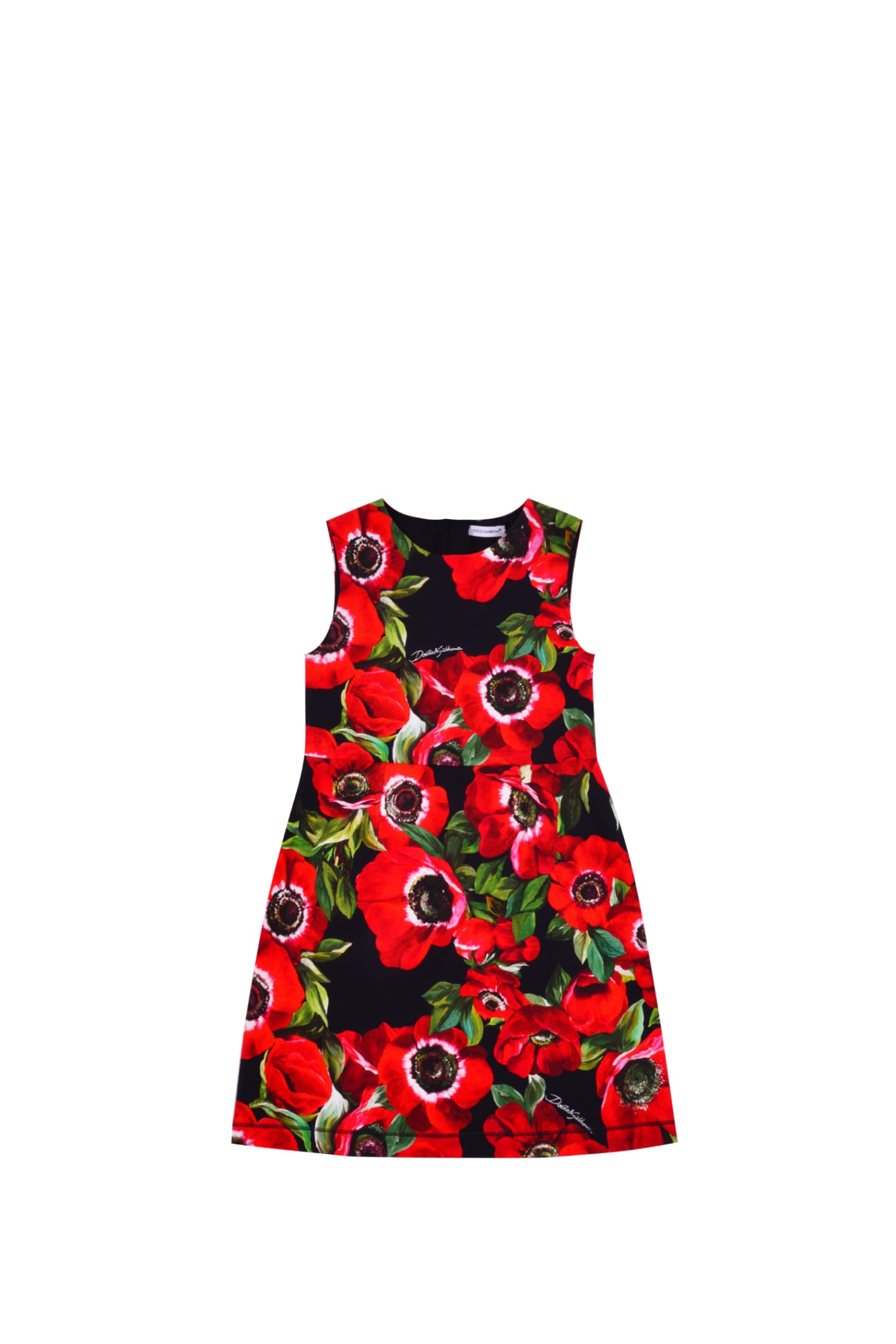 Dolce & Gabbana Flower Print Cotton Dress