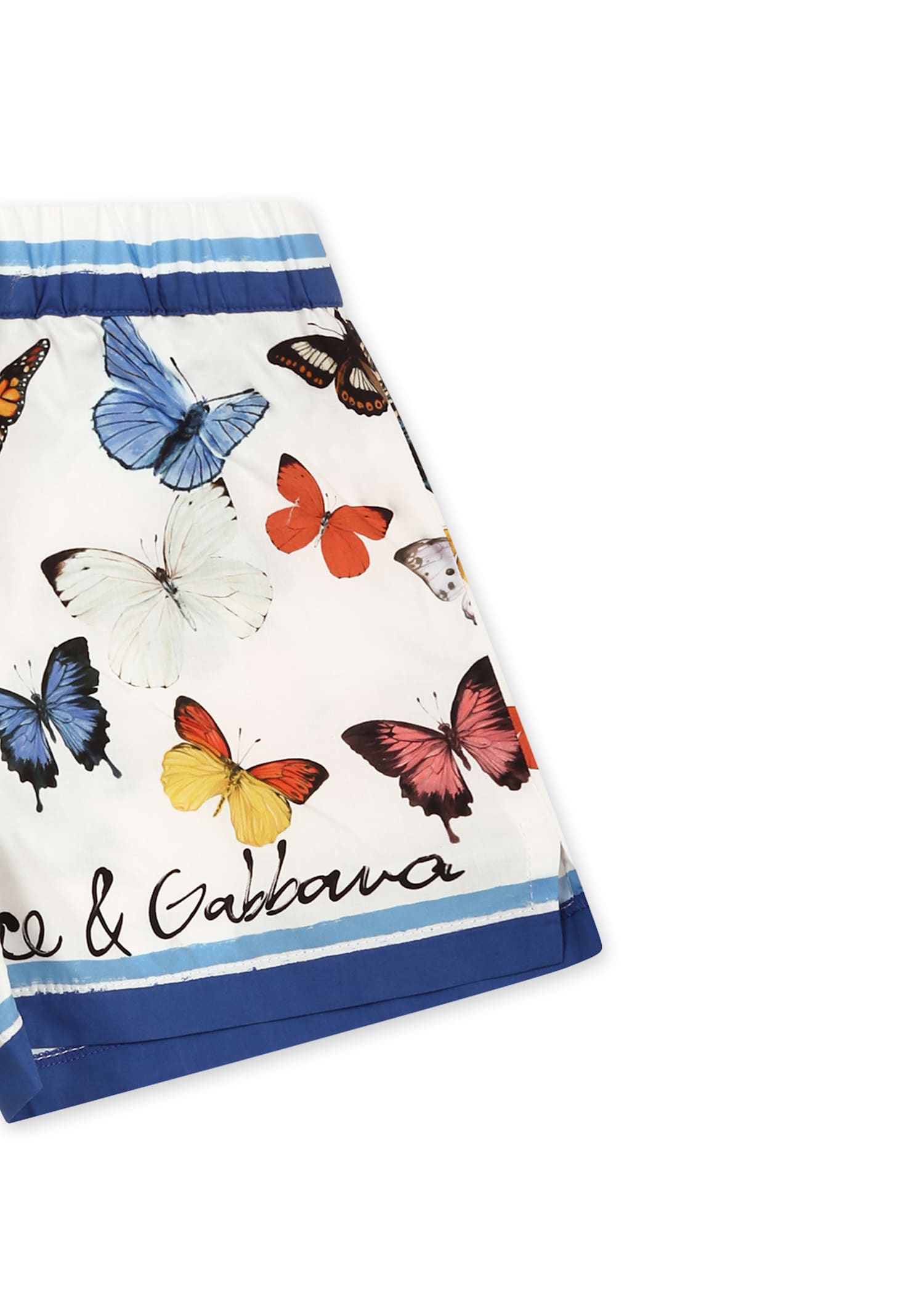 Dolce & Gabbana White Shorts For Baby Girl With Butterflies In White