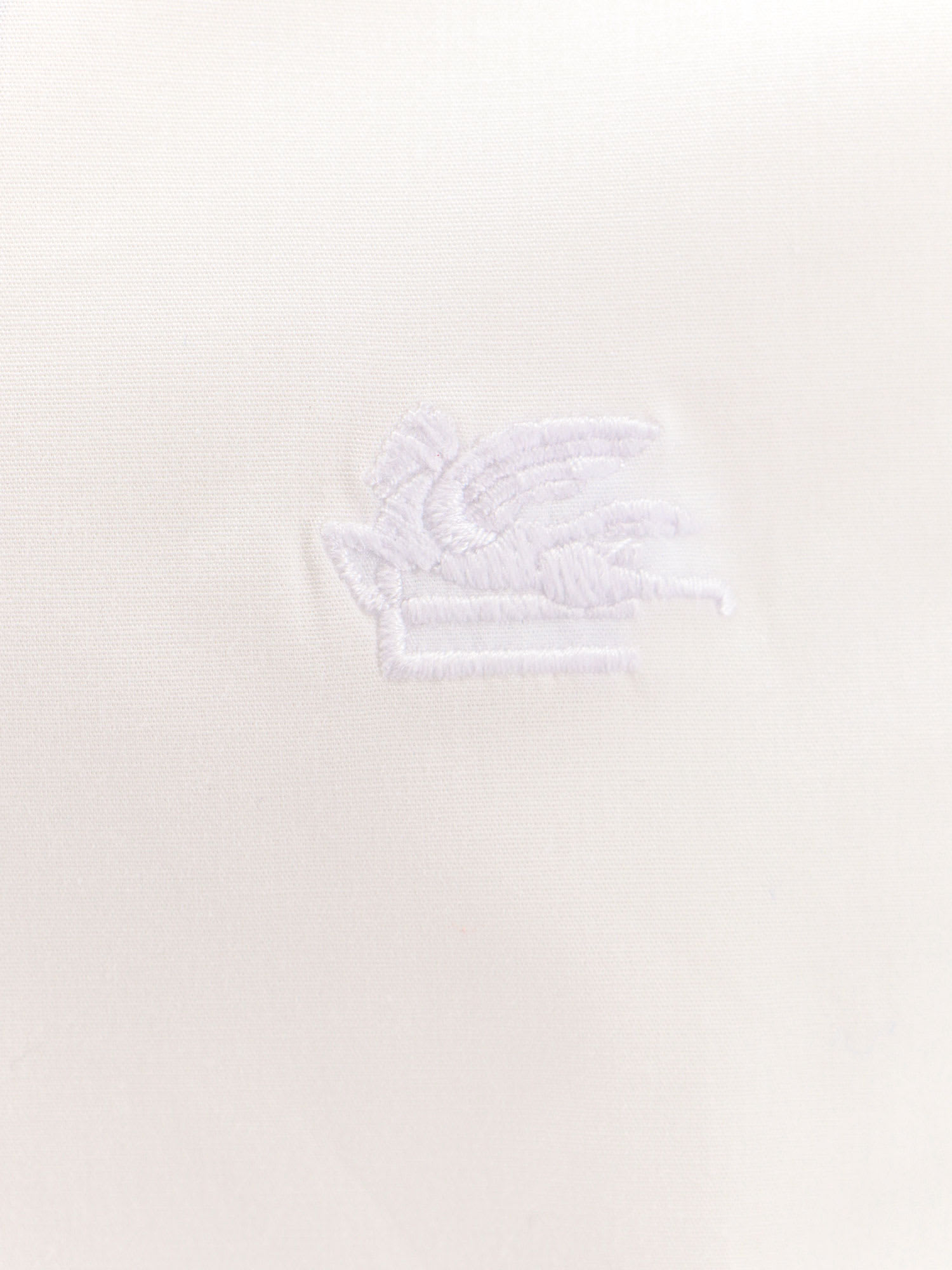 Etro Shirt In White