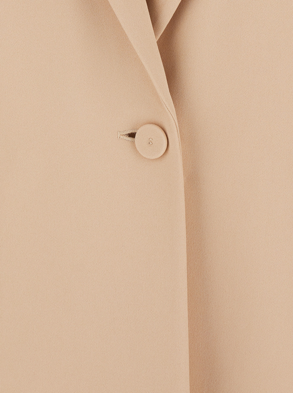 Alberta Ferretti Women Beige Single-breasted Jacket With Classic Lapels In Fabric Woman In Brown