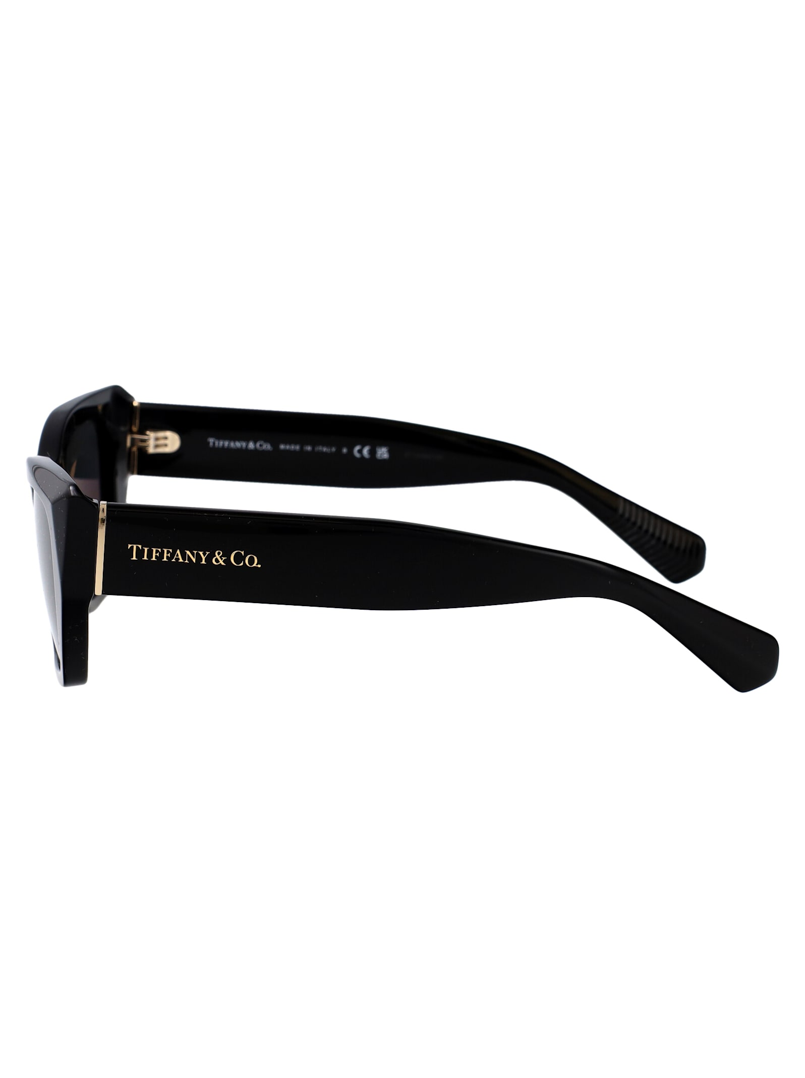 Tiffany &amp; Co. 0tf4230 Sunglasses In Black