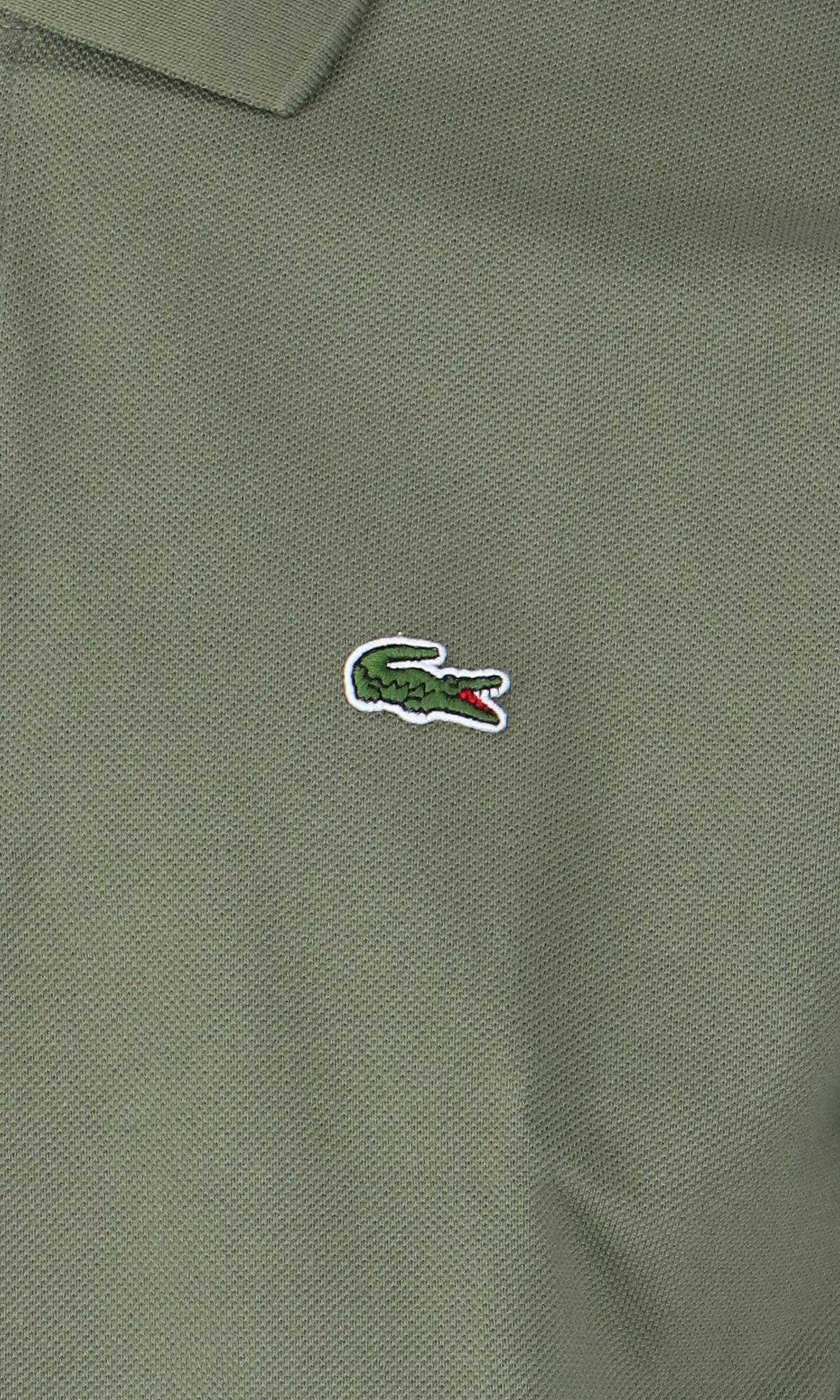 Shop Lacoste Classic Design Polo Shirt  In Green