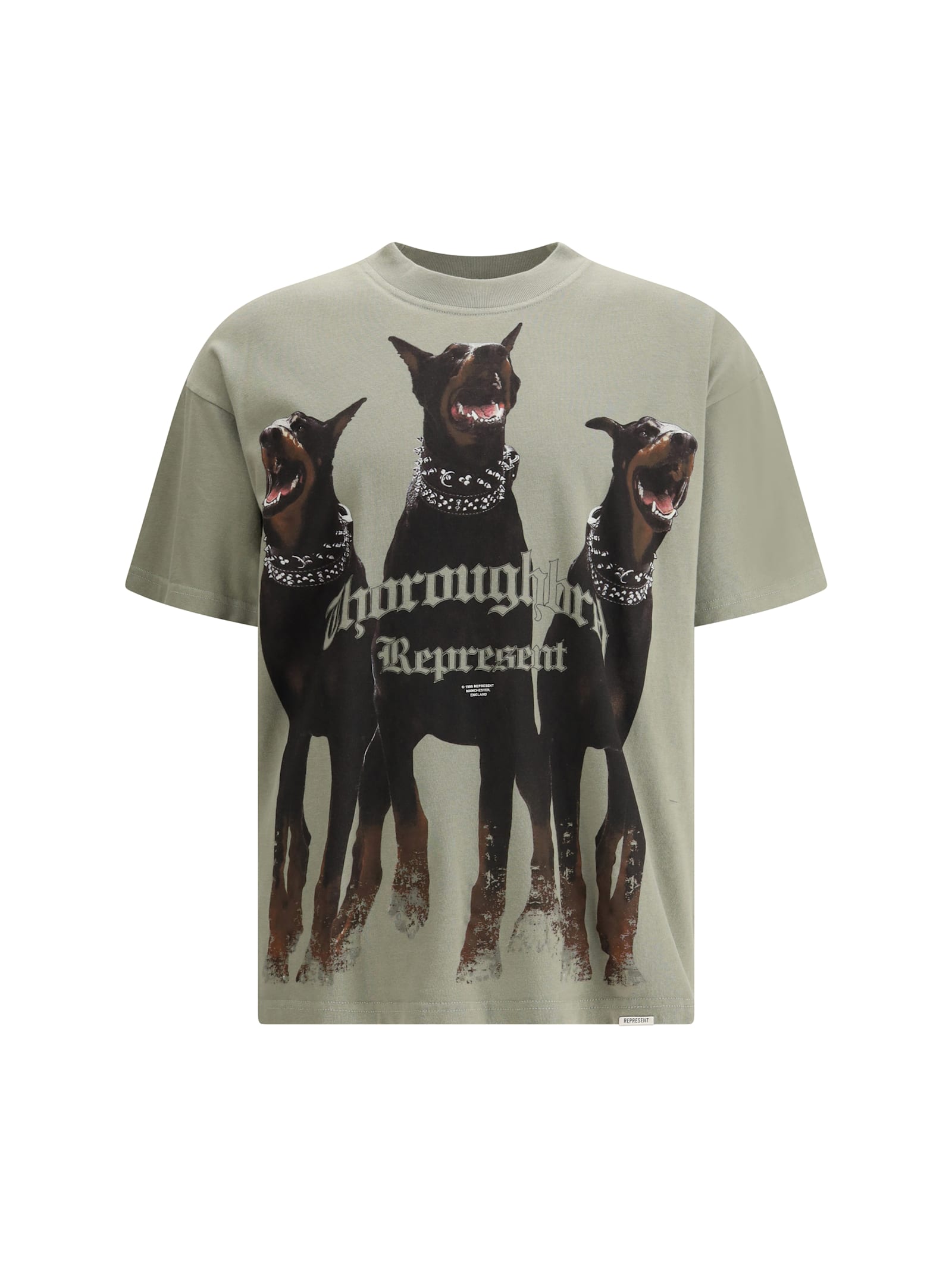 Represent Sage Green Cotton Thoroughbred T-shirt In Green