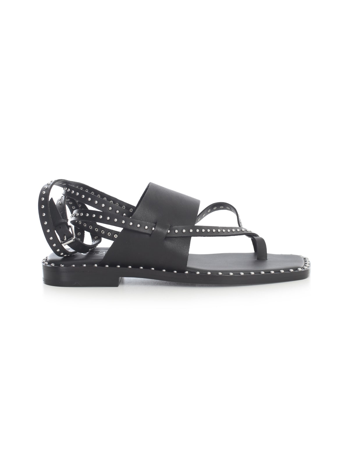 Ash Sandals W/studs And Large Band