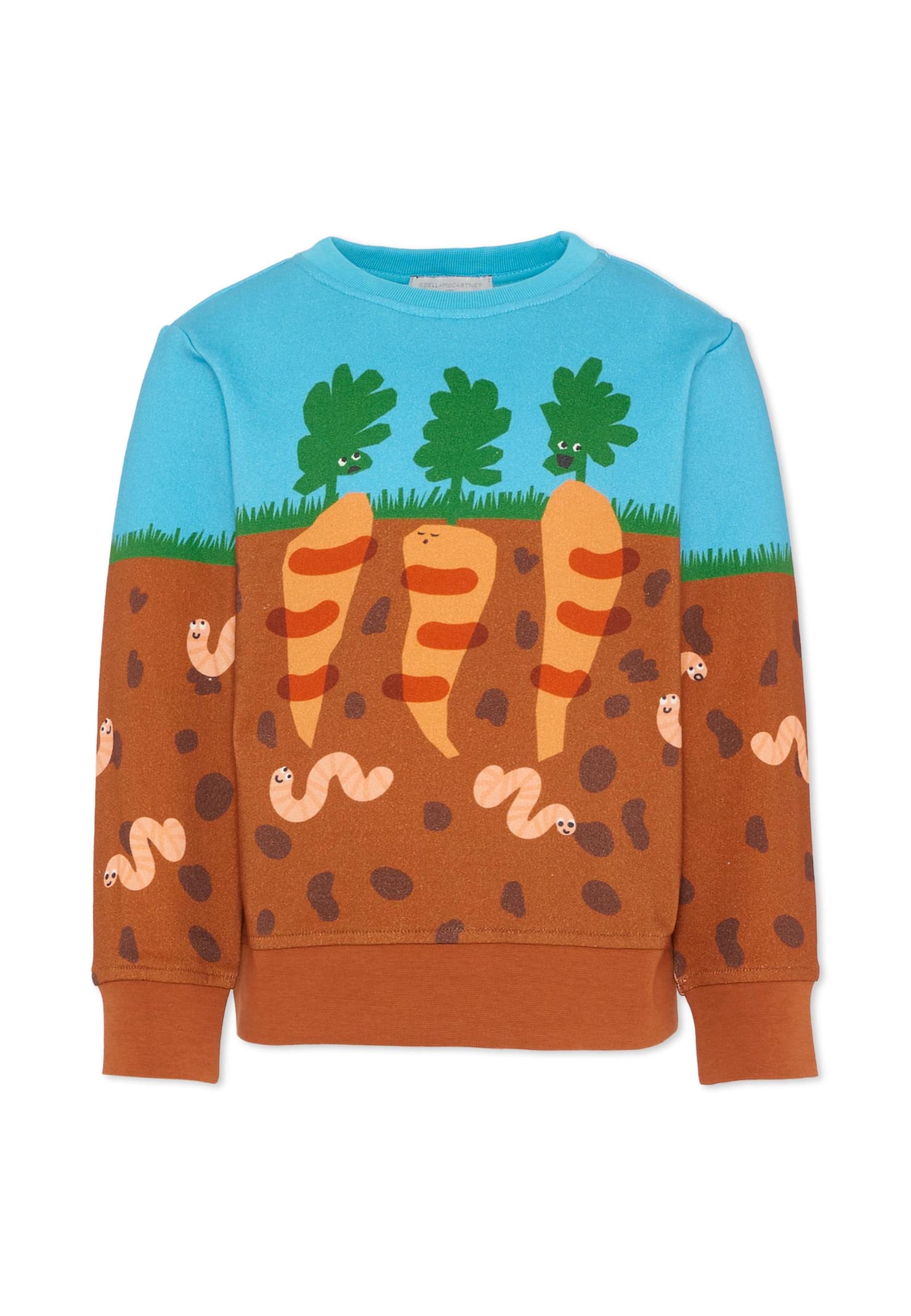 Stella Mccartney Multicolor Sweatshirt For Boy With Carrot Print In Multi