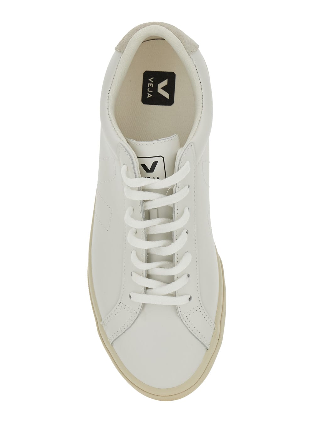 Veja White Leather Sneakers With Embroidered Logo In White