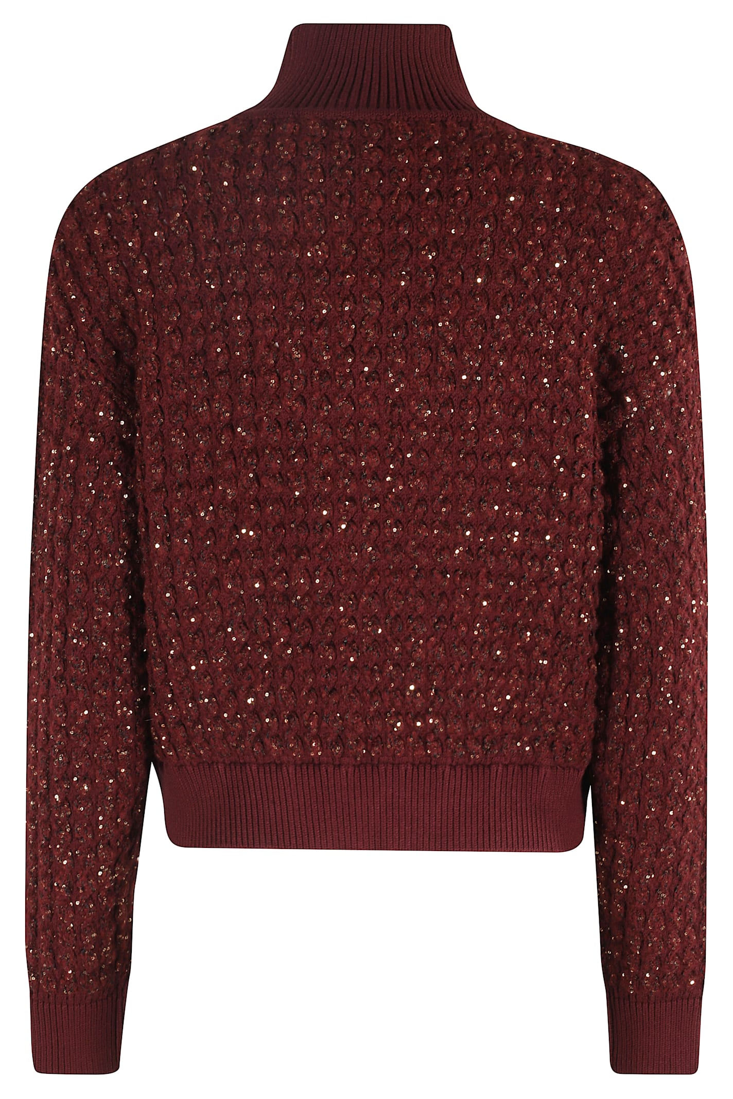 Elisabetta Franchi Sequinned Turtleneck Sweater In Burgundy