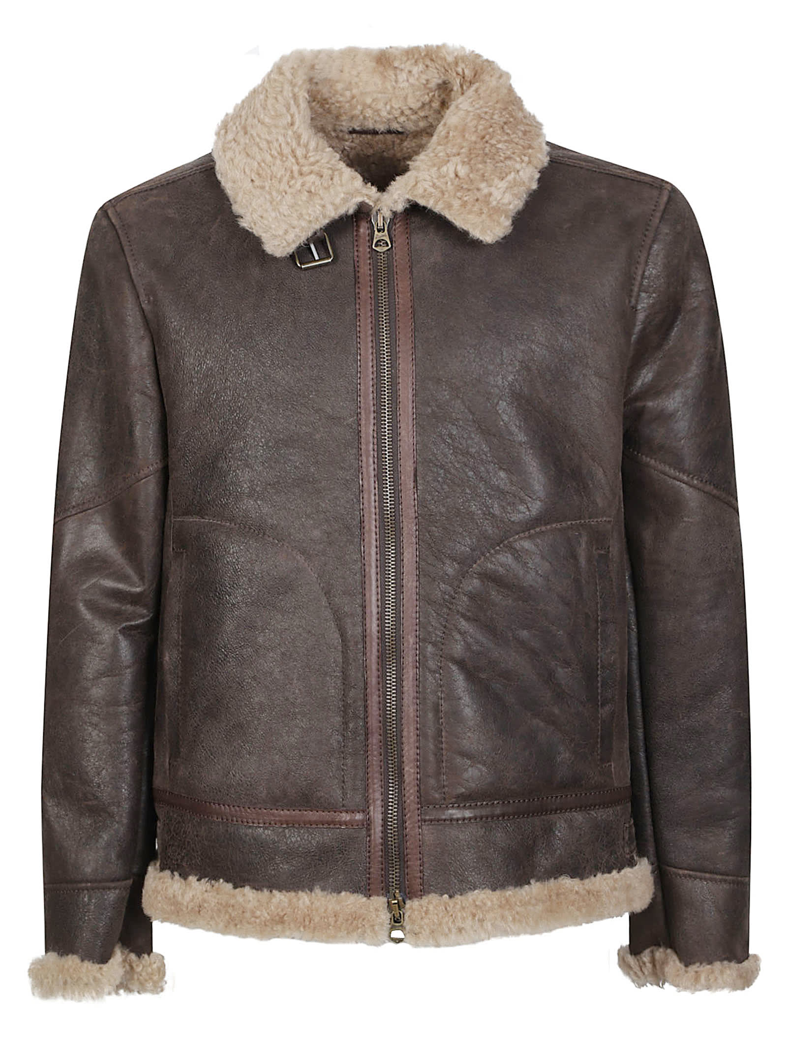 Stewart Sylvester-aviator Jacket In Brown