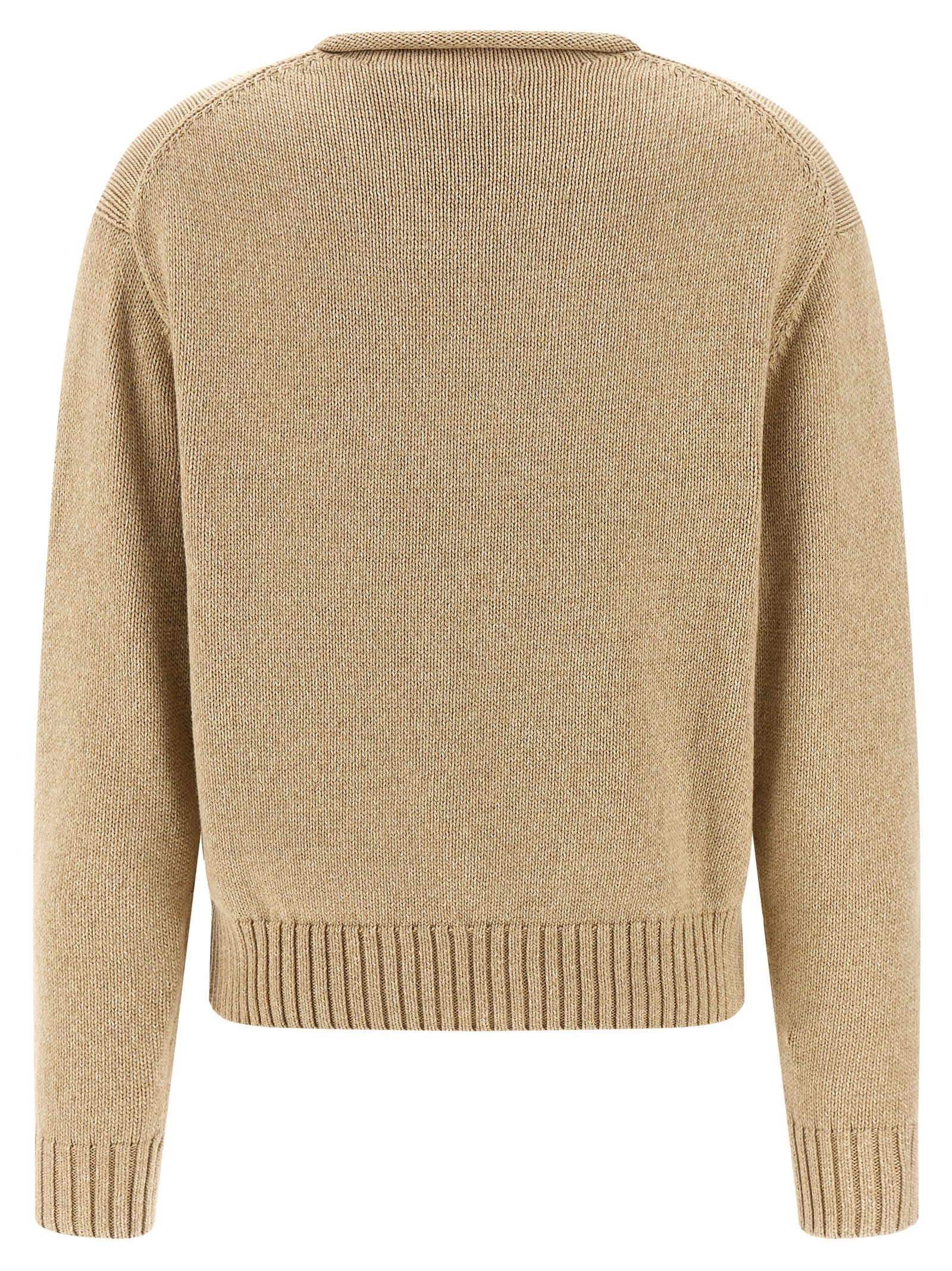 Polo Ralph Lauren Bear Graphic Roll Neck Sweater In Brown