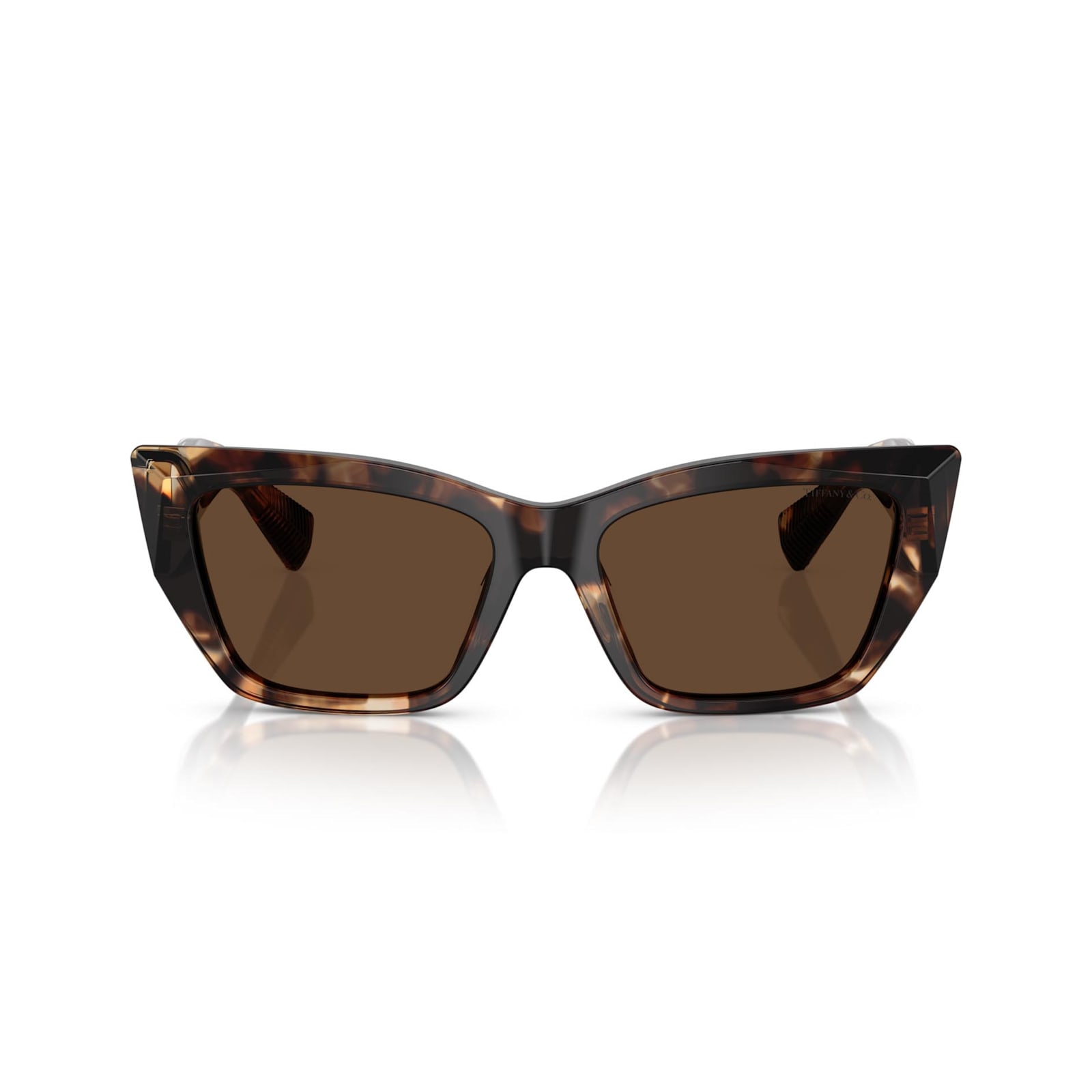 Persol Sunglasses