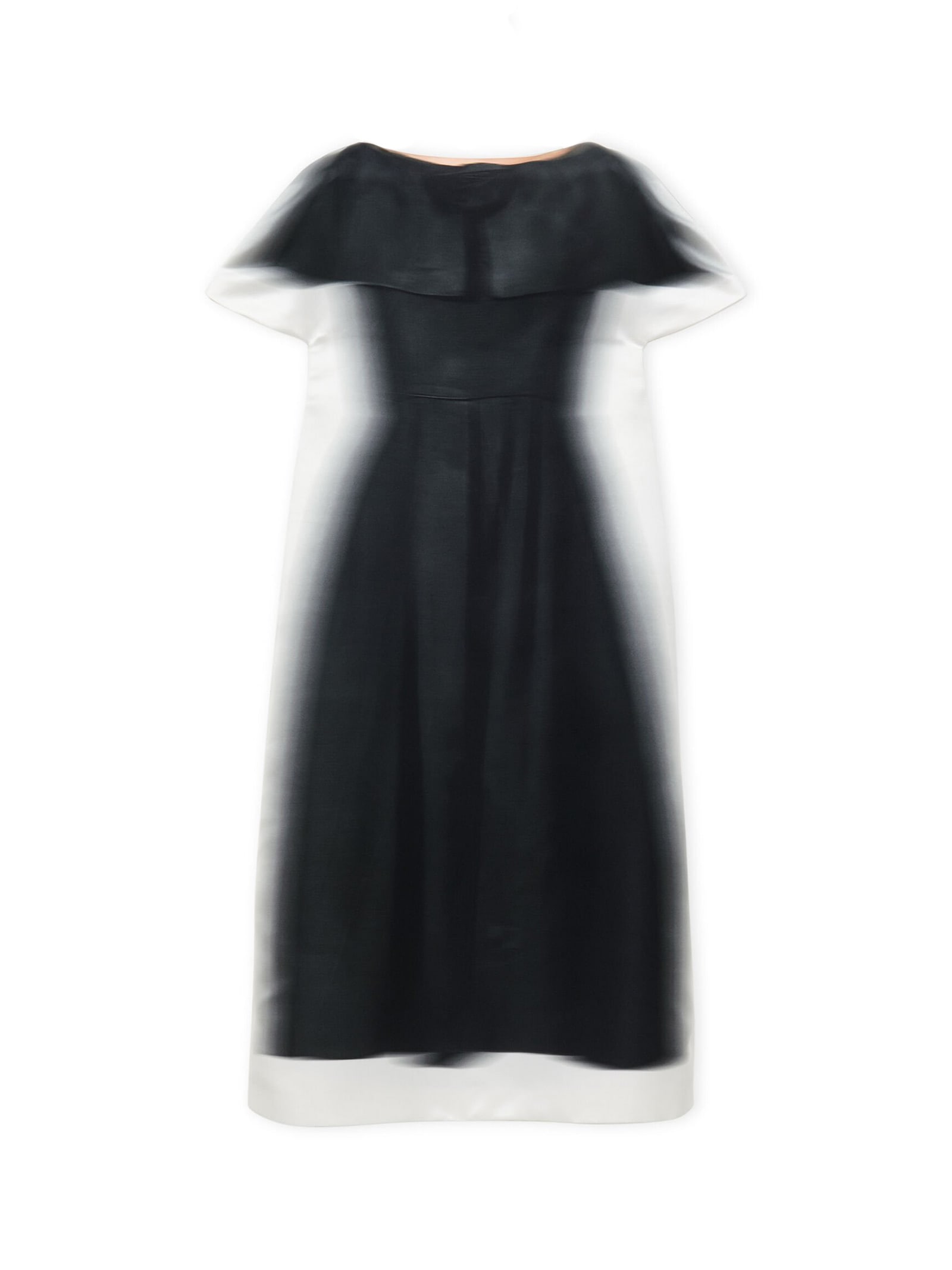 Shop Loewe Dress In Black White