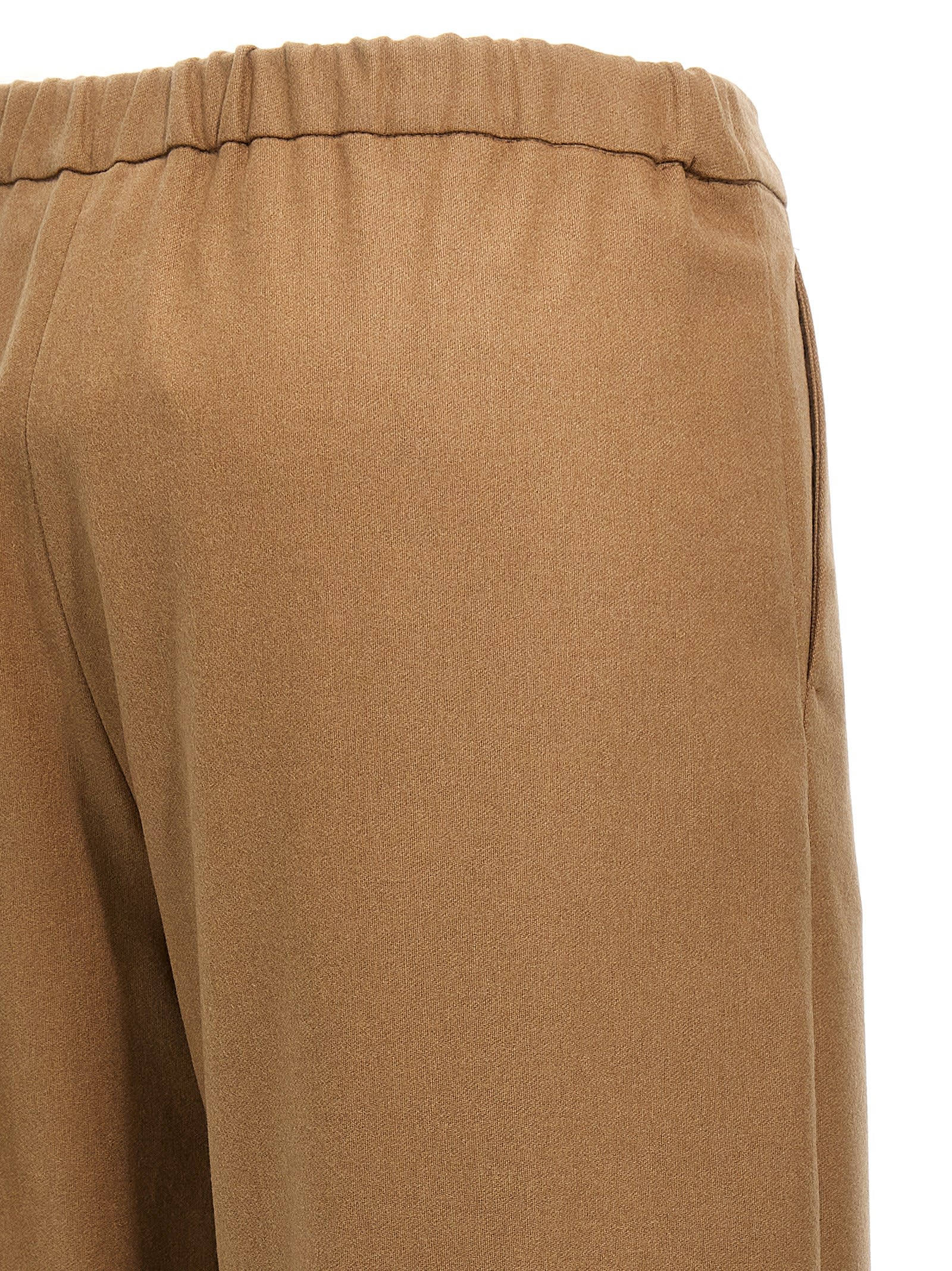 S Max Mara Floria Pants In Cammello