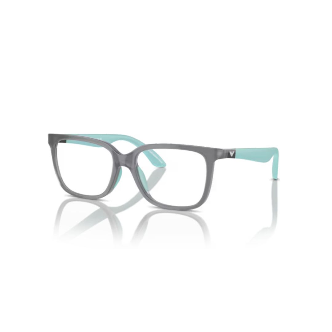 Emporio Armani 3006 Vista6134