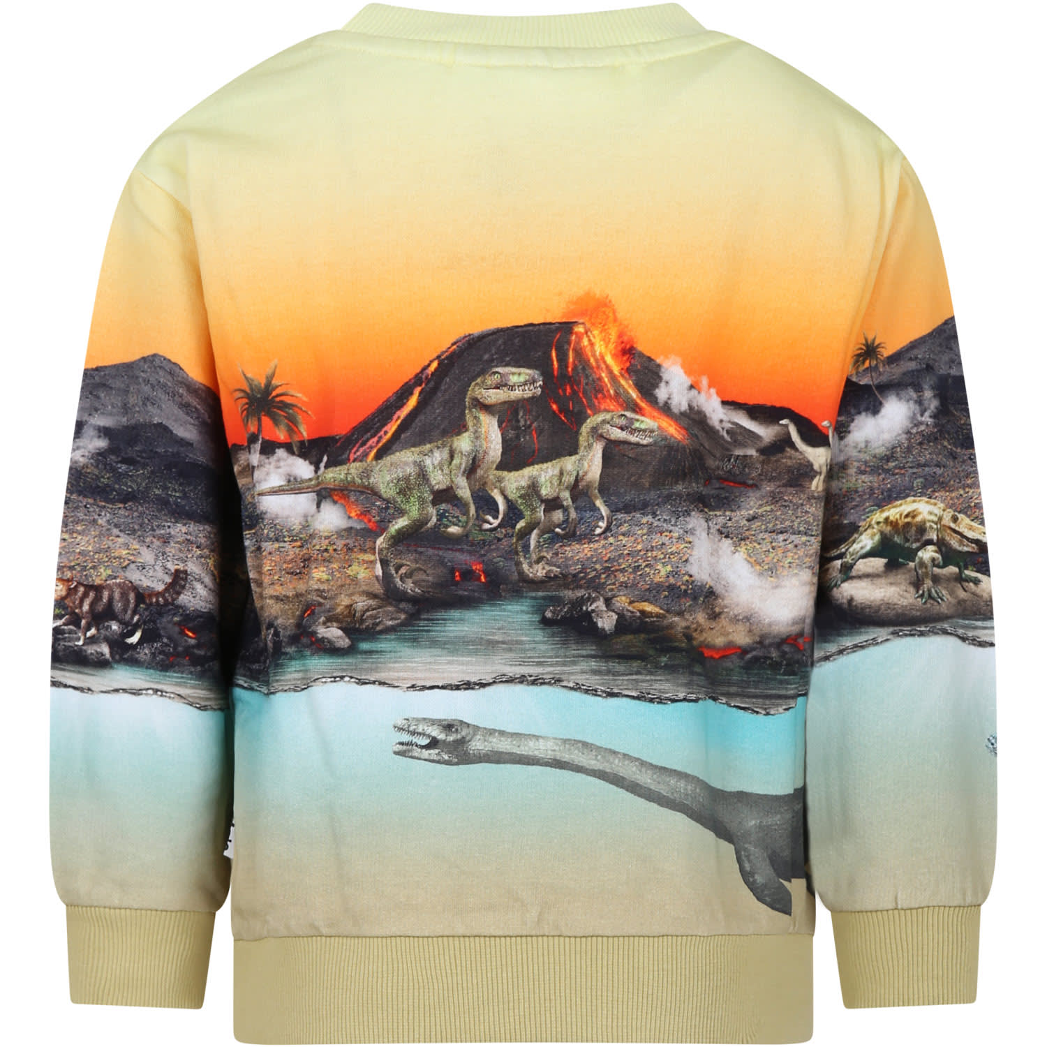 Shop Molo Orange Sweatshirt For Boy With Dinosaur Print In Multicolor