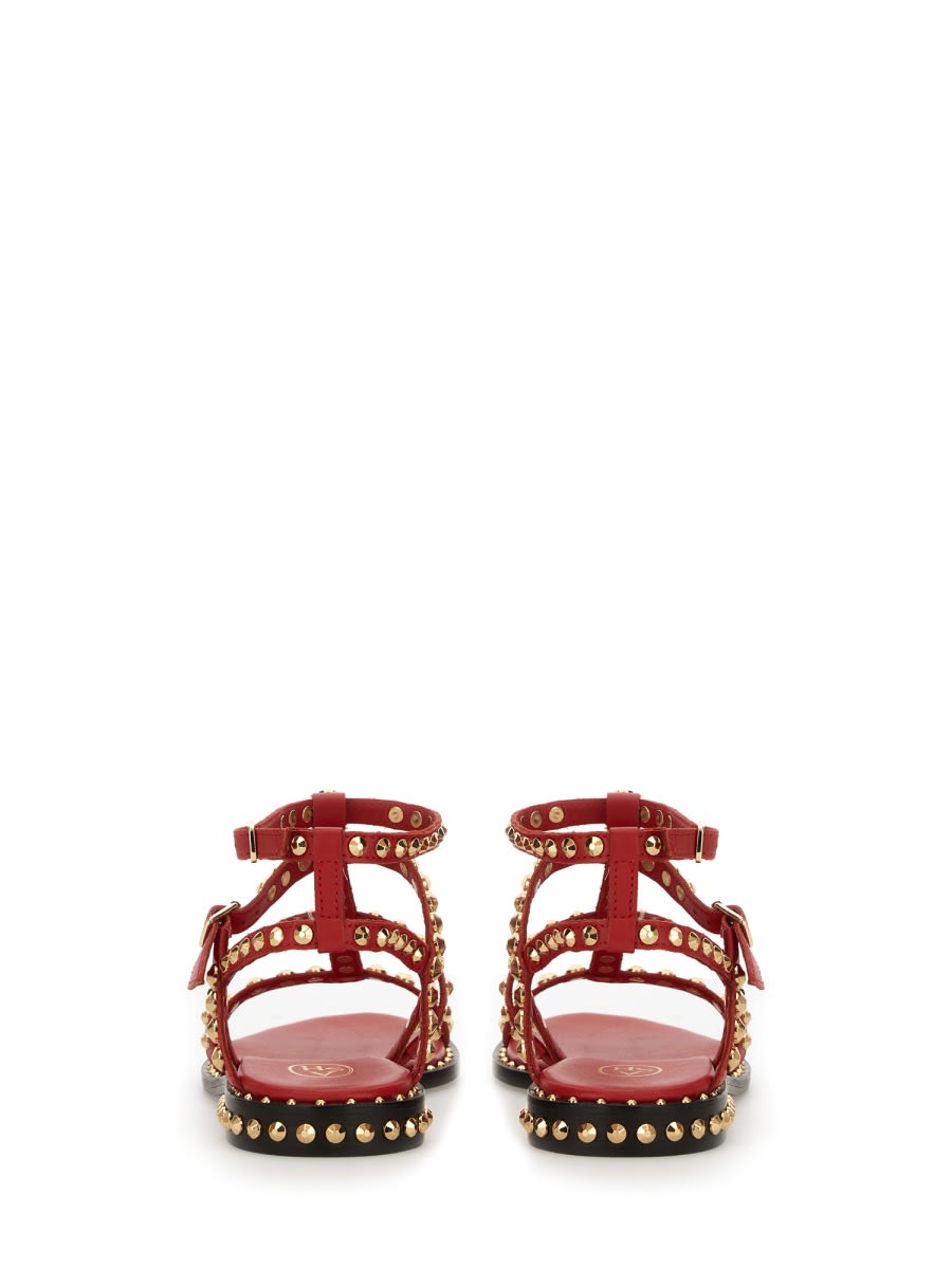 Ash Sandal Precious In Red