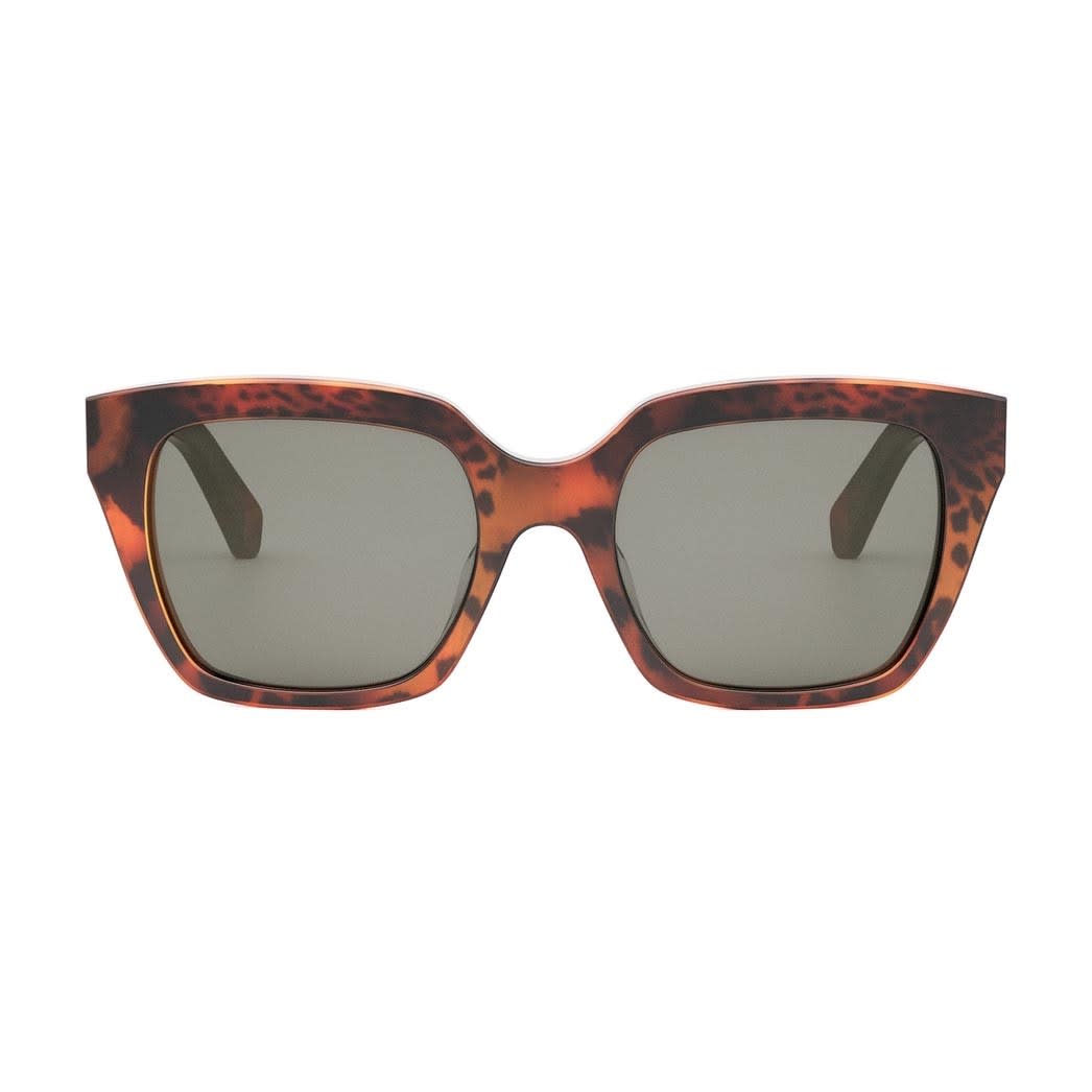 Shop Celine Sunglasses In Marrone/grigio