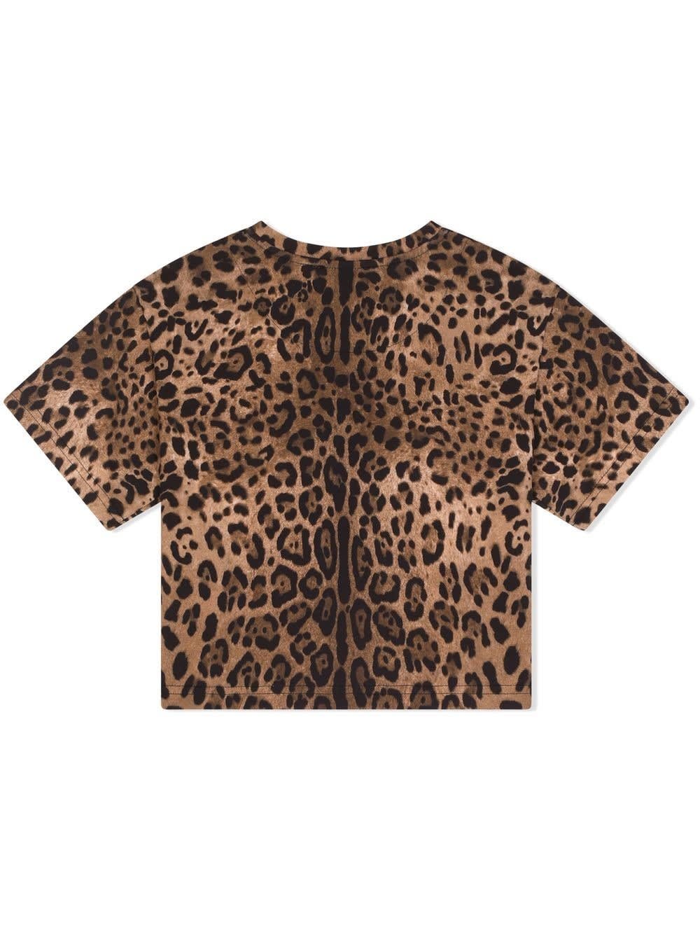 Shop Dolce & Gabbana T-shirt Con Stampa In Brown