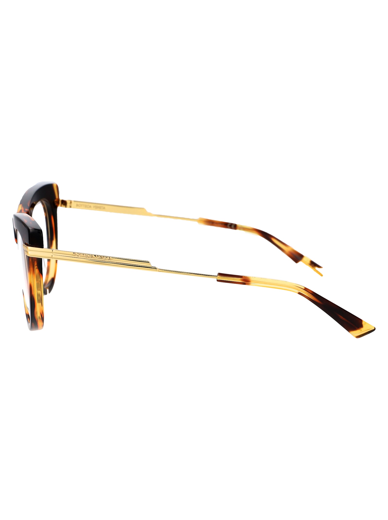 Bottega Veneta Bv1297o Glasses In Havana