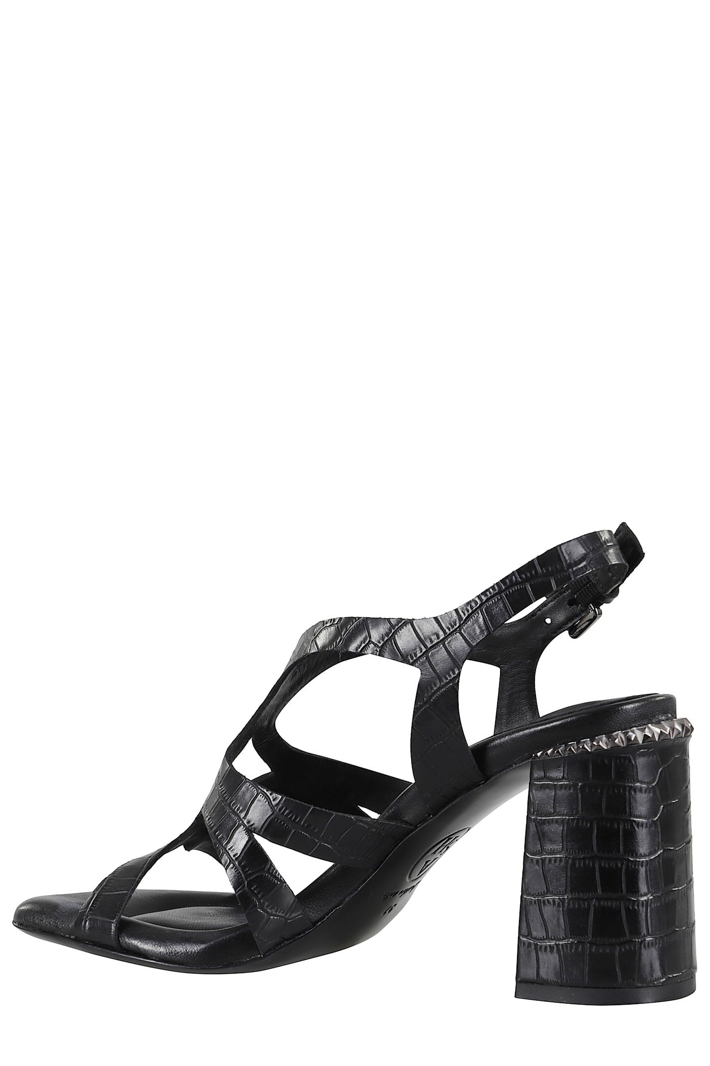 Shop Ash Cocco In Black