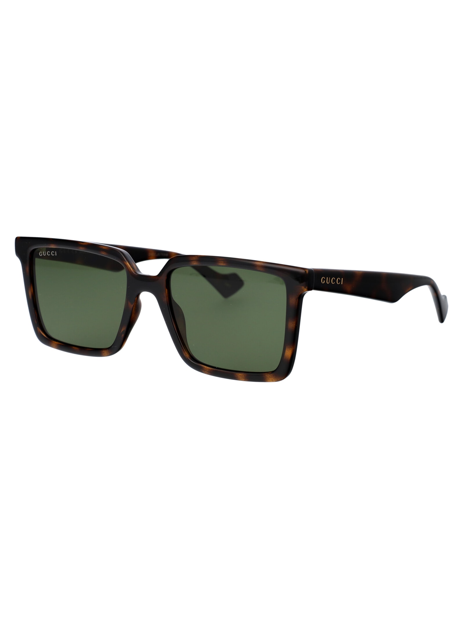 Gucci Havana Havana Green Acetate Sunglasses In Green