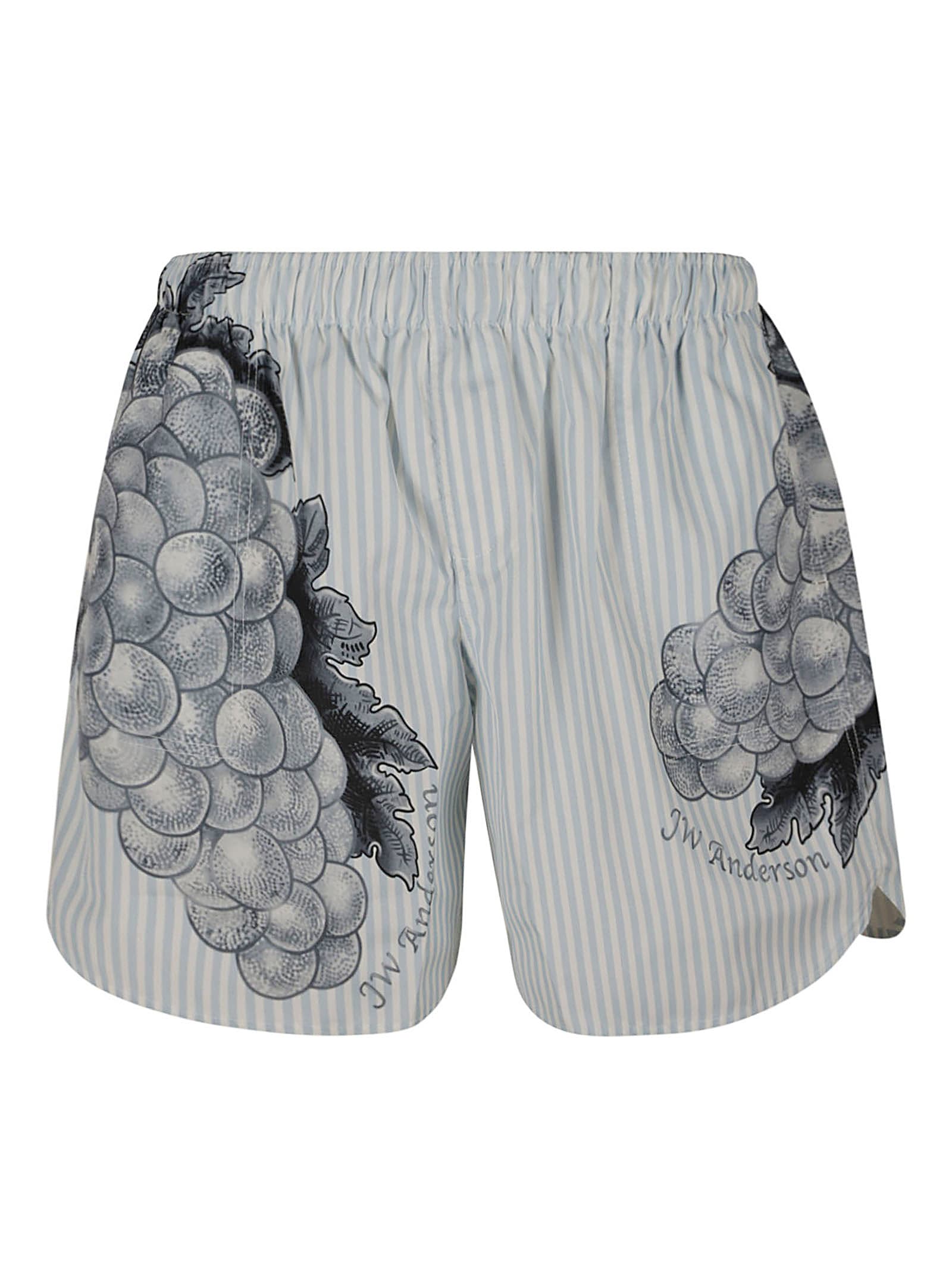 J.W. Anderson Grape Swim Shorts