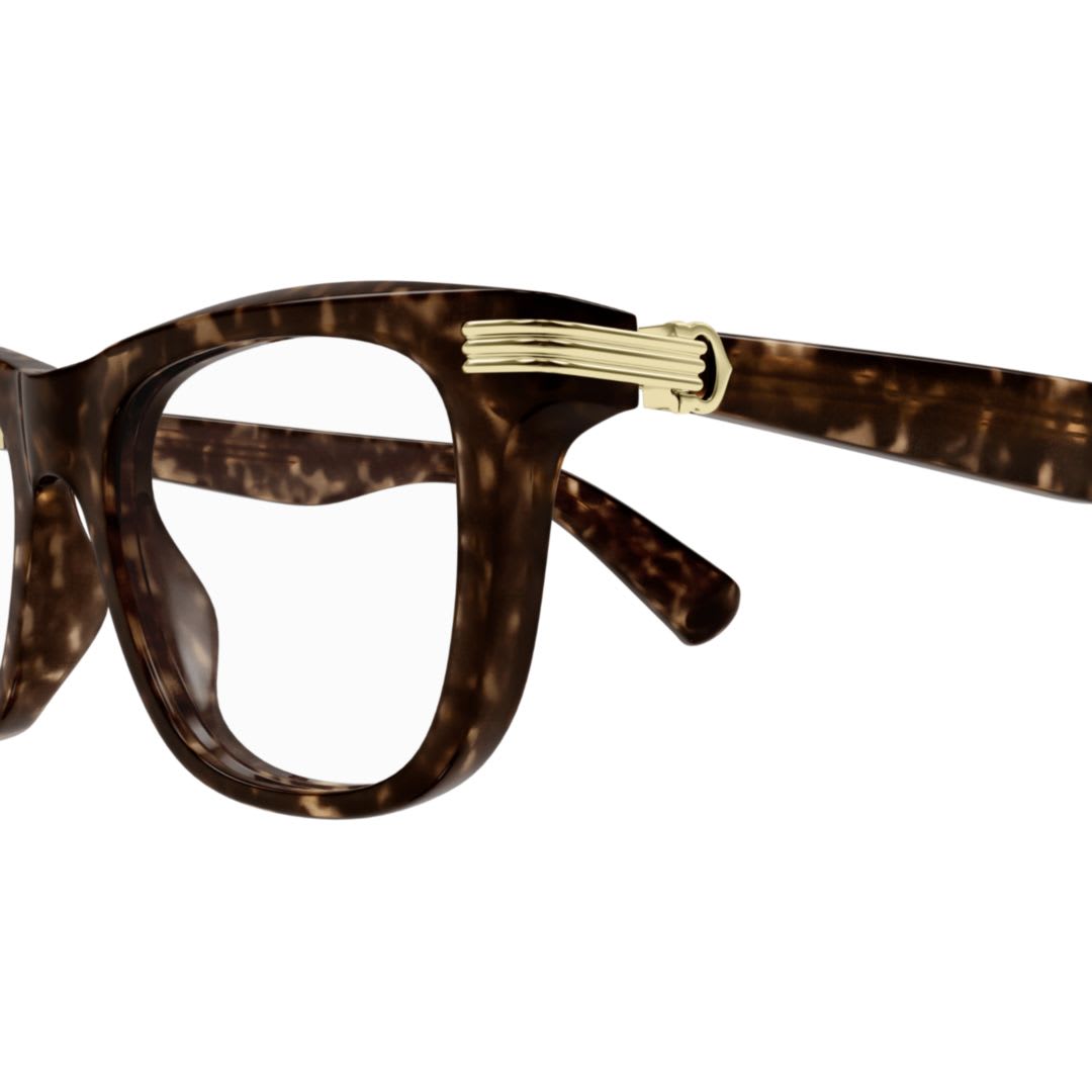 Cartier Ct0558o-002havana-havana-transparent In Brown