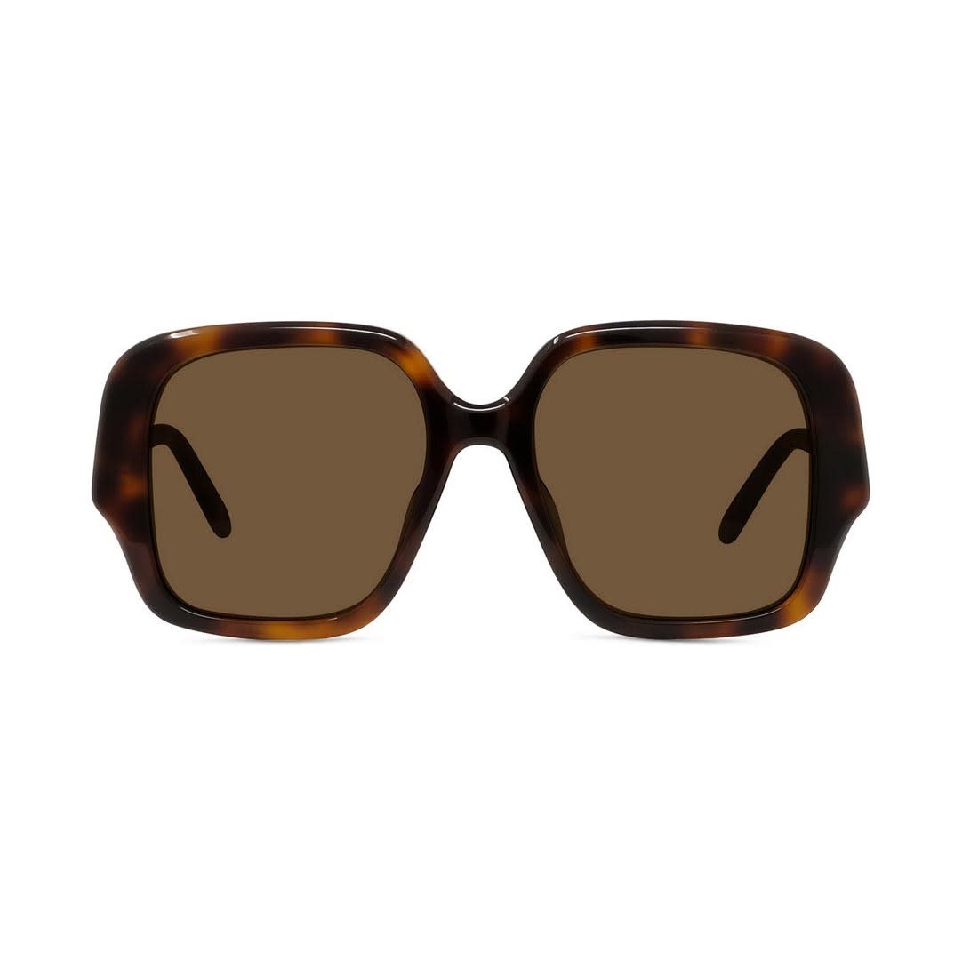 Shop Loewe Sunglasses In Havana/marrone