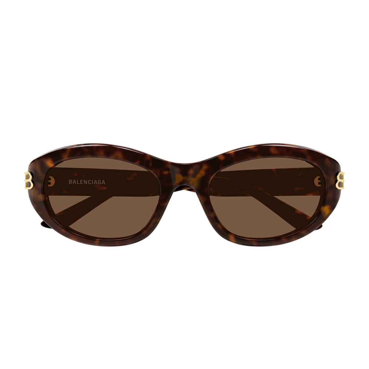 Balenciaga Bb0434sk Linea Everyday 002 Havana Brown Sunglasses In Brown